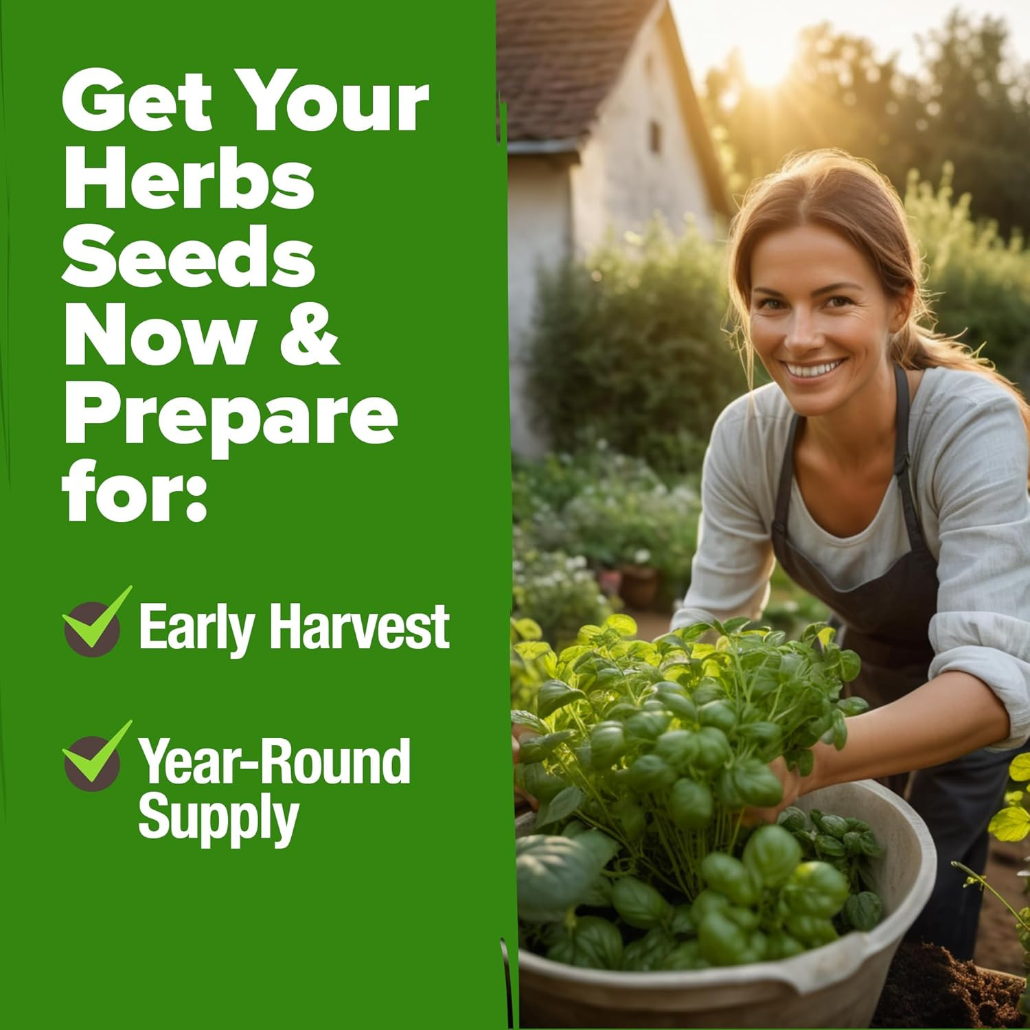 10 Herb Seeds for Planting 3,000+ Non-Gmo Heirloom Seeds | Extra Large Variety P