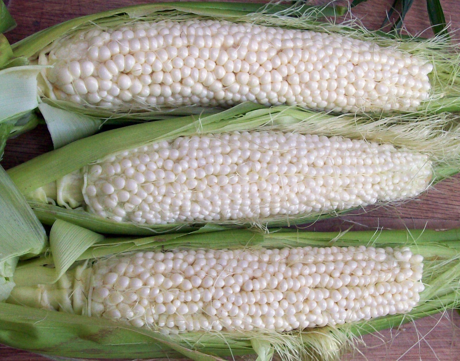 Country Gentleman Sweet Corn Seeds, White Shoepeg Corn, Heirloom, FREE SHIPPING