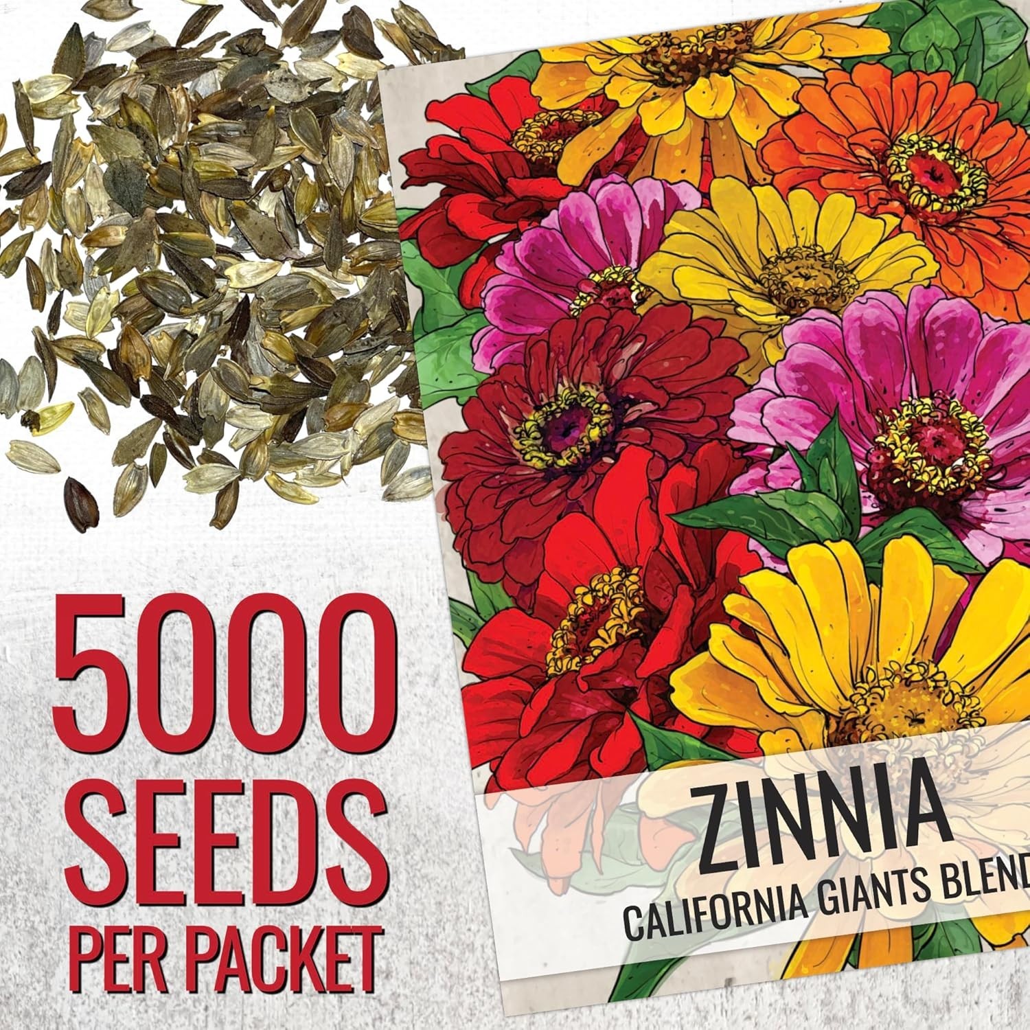Zinnia Seeds California Giants 5000+ Heirloom Zinnia elegans Bulk Mix Multicolor
