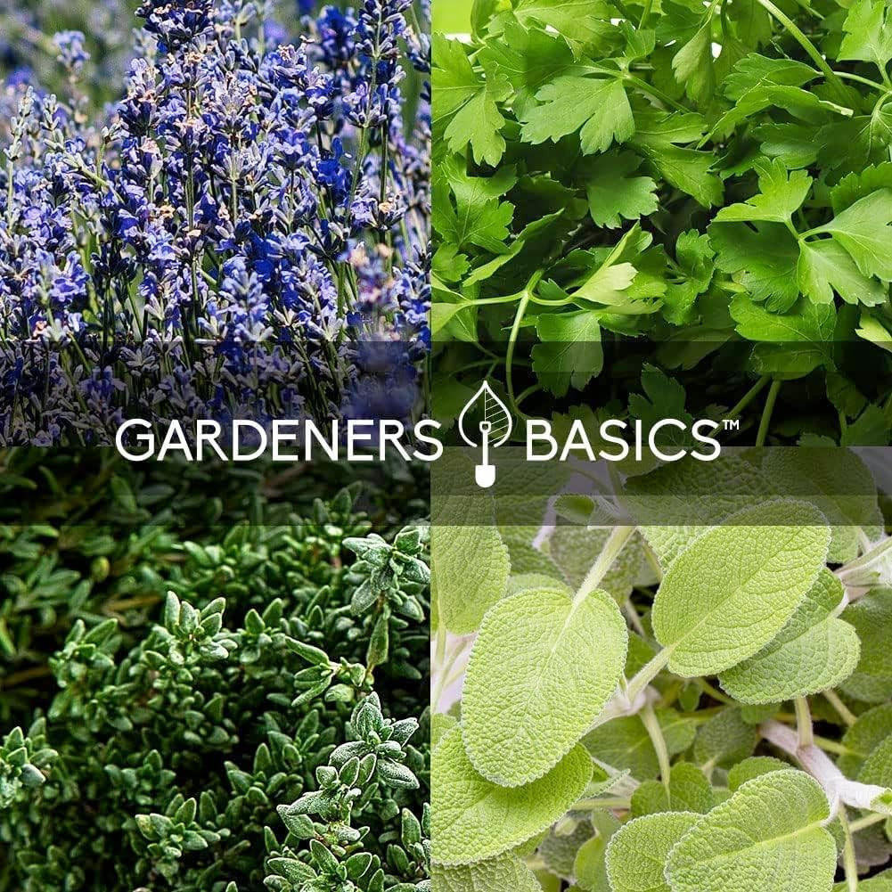 Ultimate Survival Seed Kit – 140 Non-GMO Varieties for Emergency Gardening