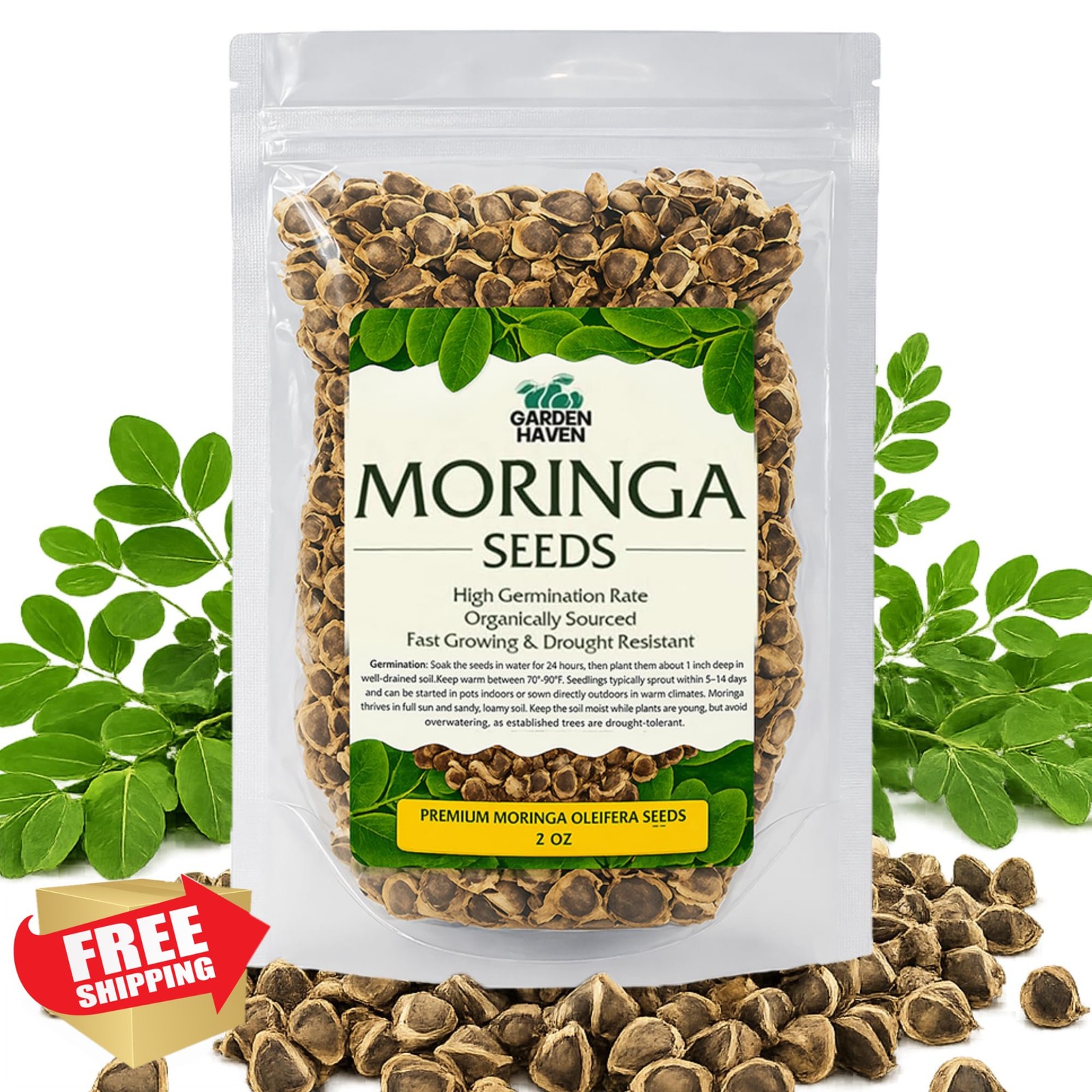 Garden Haven Moringa Seeds 2 oz 1 Pack