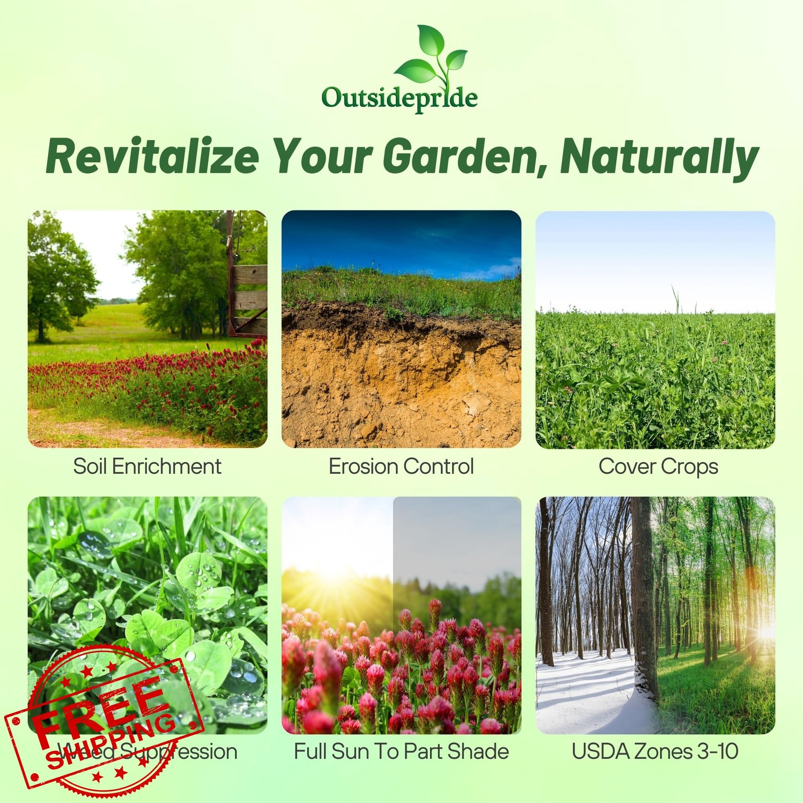 Outsidepride Gardenway Cover Crop Seeds 10 lb Mix