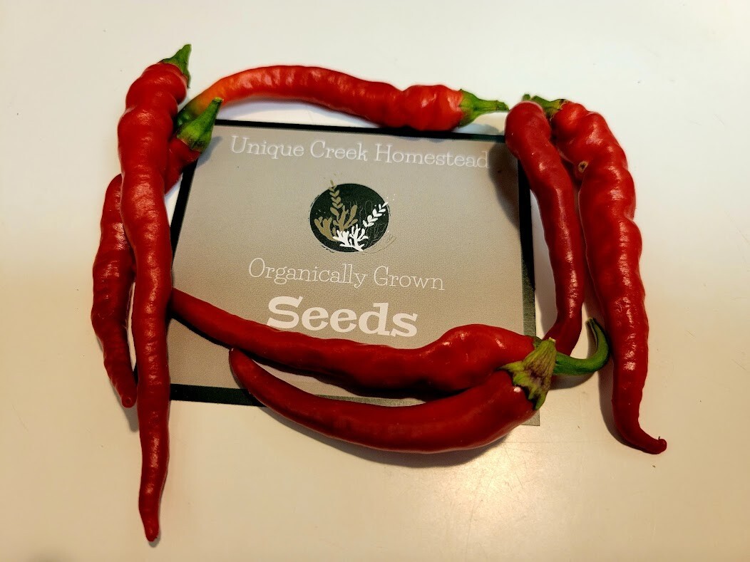 Indian Jwala Red Spicy Chili Pepper 25-Seeds Organically Grown Hot Peppers