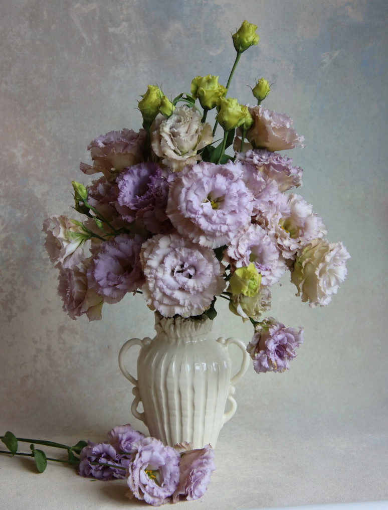 Lisianthus Live Plant, Healthy Starter, Mother’s Day Edition