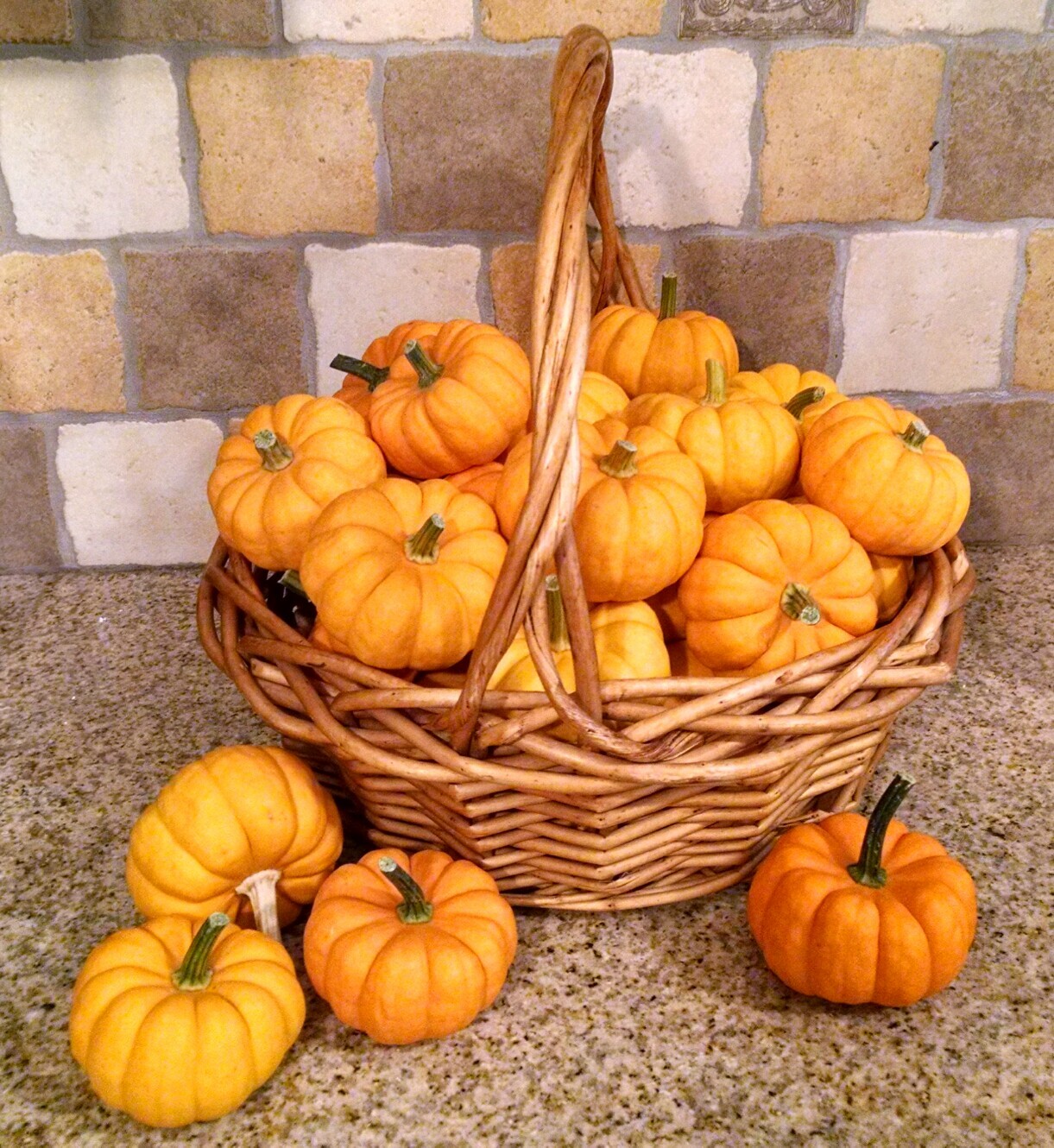 Jack Be Little Pumpkin Seeds | Mini Orange Untreated Halloween Baby Seed 2024