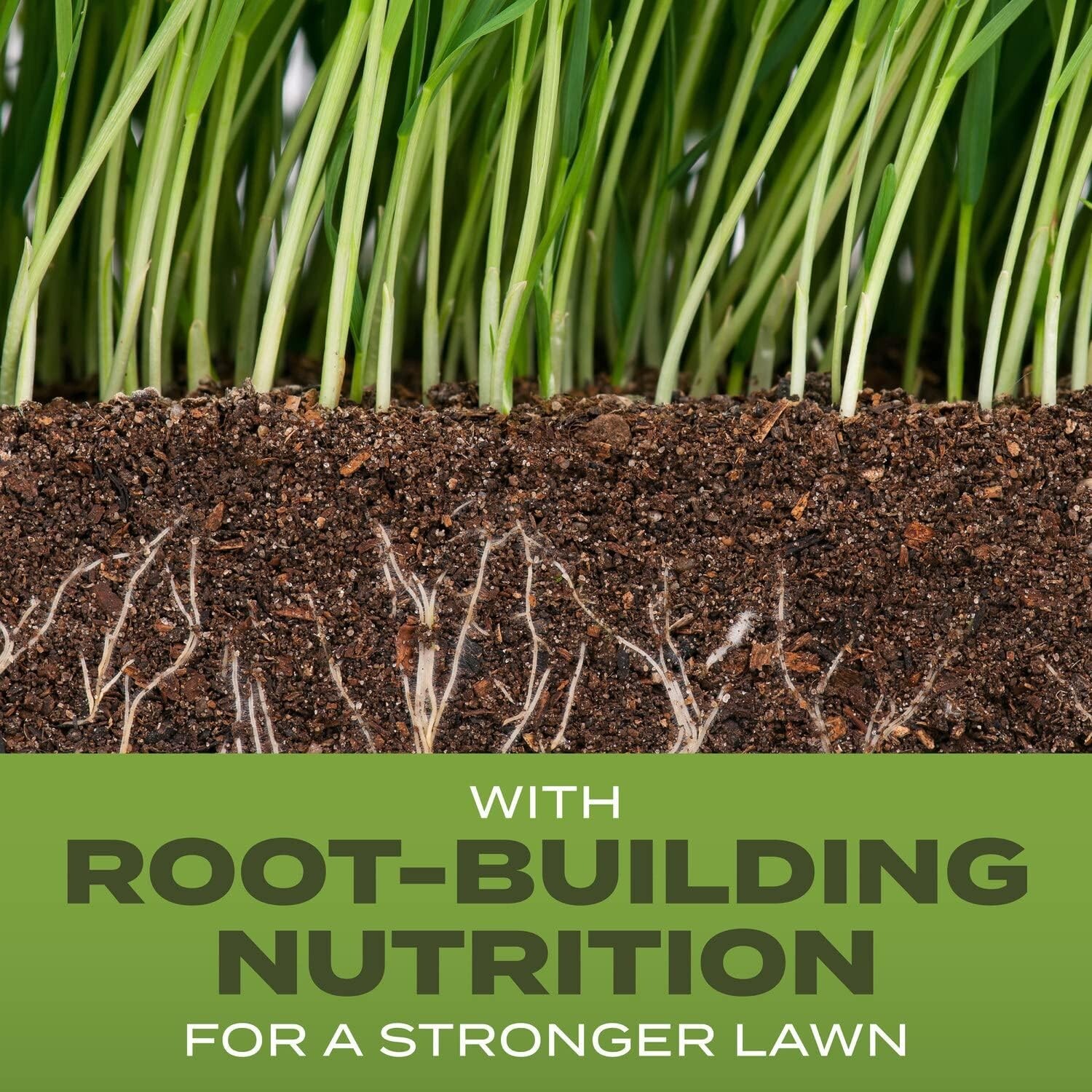 Turf Builder Grass Seed Tall Fescue Mix with Fertilizer and Soil Improver, Re…