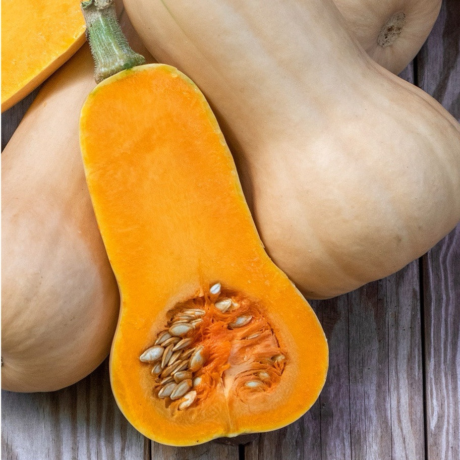 Waltham Butternut Squash Seeds, 25+ Seeds~Heirloom~NON GMO. Free S/H