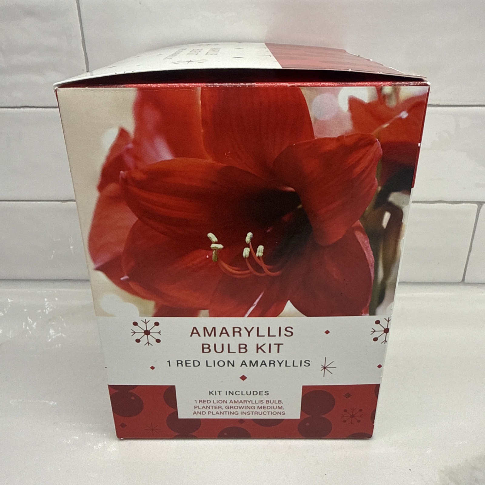 Indoor Amaryllis Bulb Kit – 1 Red Lion Bulb (Deep Red), Planter, Growing Medium