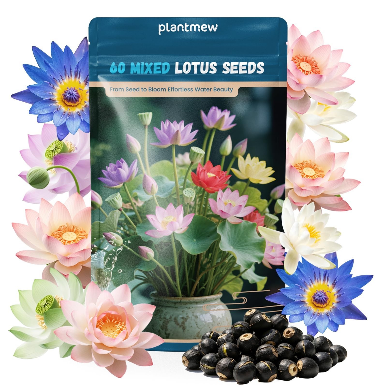 60 PCS Mixed Lotus Seeds for Planting in Water – Water Lily & Pond Plants for Ga