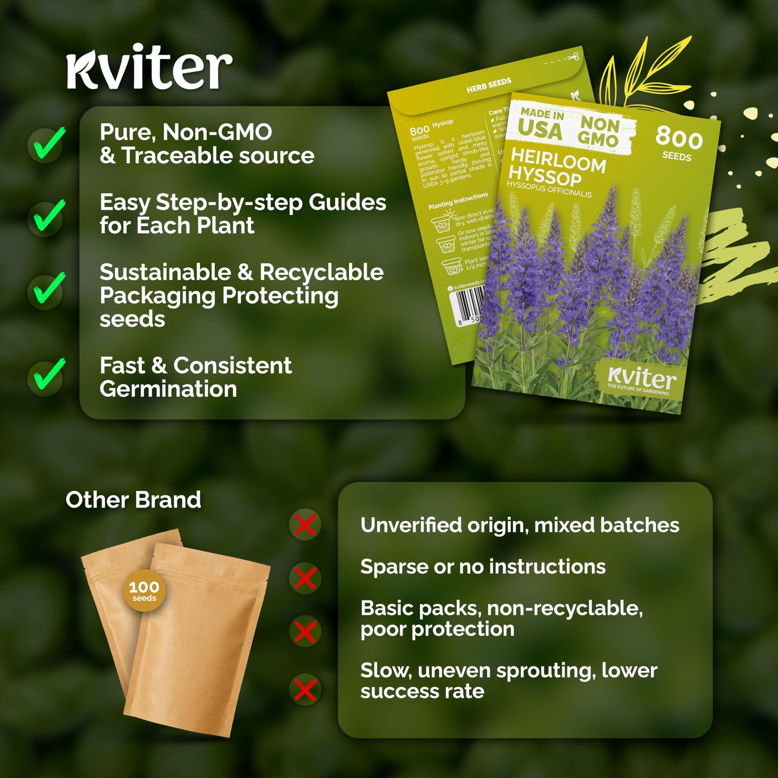 KVITER 800 Hyssop Seeds (Hyssopus Officinalis)