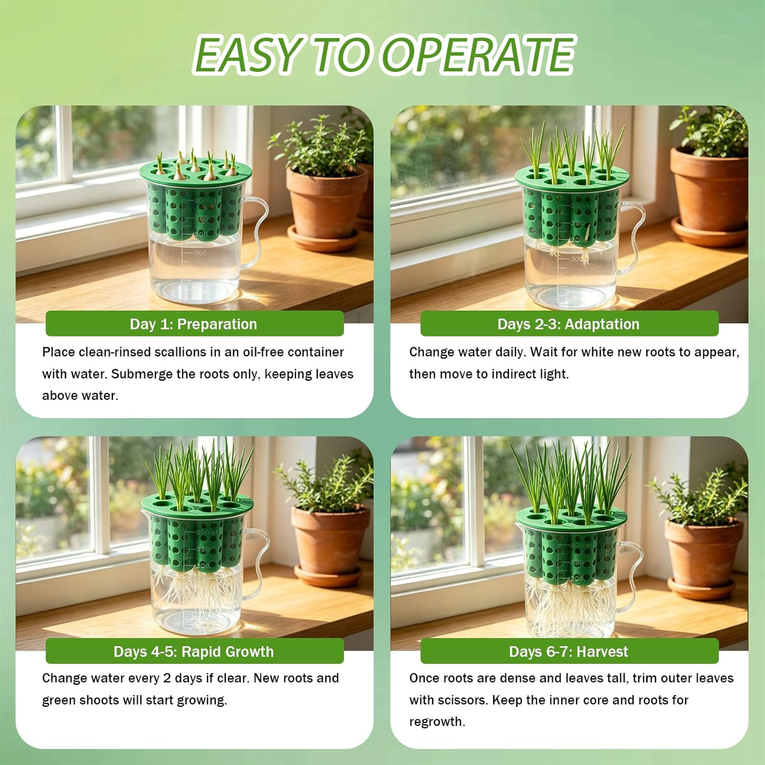2Set Green Onion Planter Scallion Regrower Seed Sprouting Kit | 2 Green Onion Gr