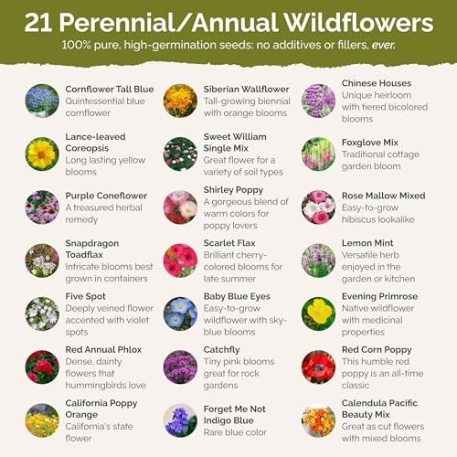 Wildflower Mixed Seeds for Planting – 1 lb, 480,000+ Seeds, Attracts Pollinators
