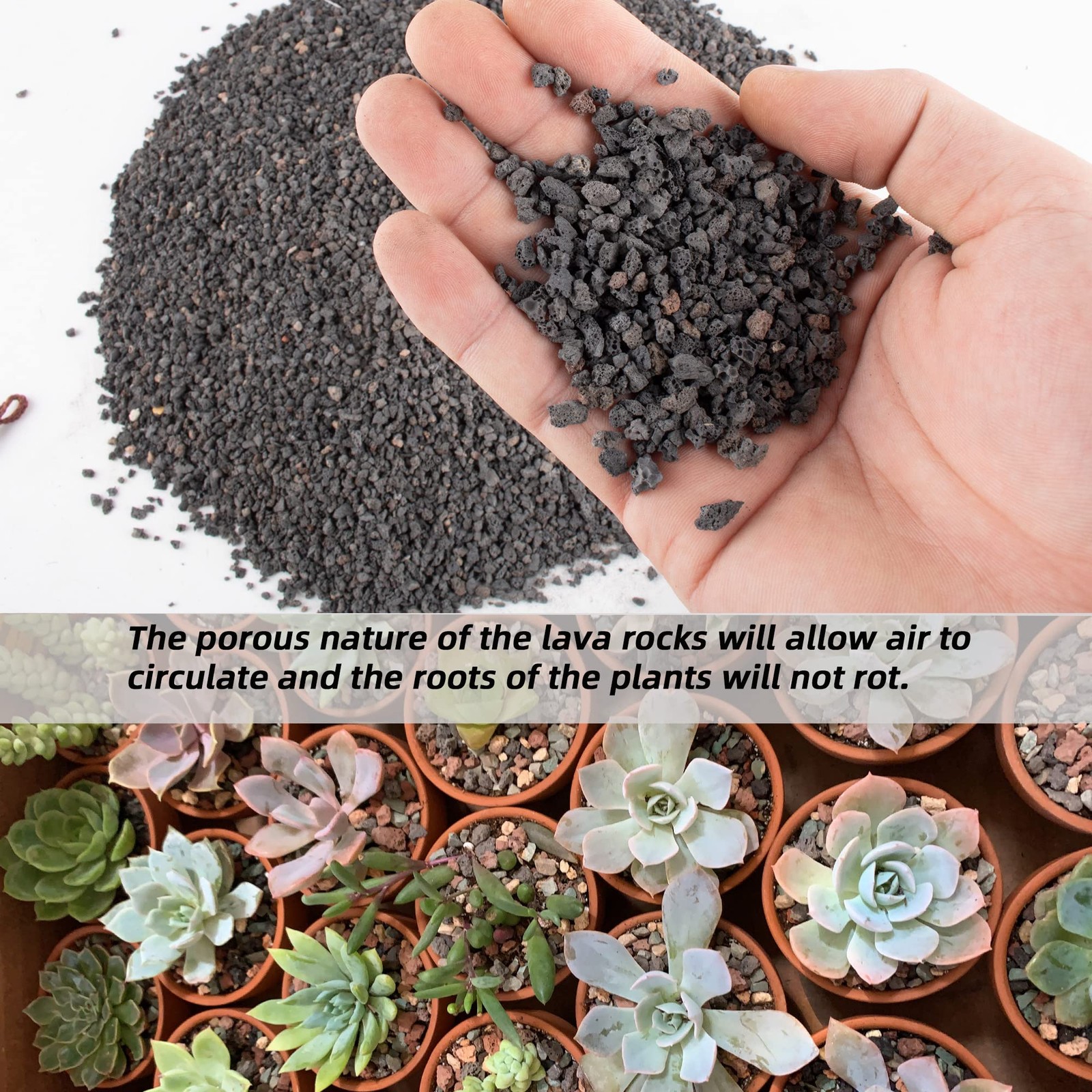 3lb Black Lava Rock for Plant, 1/8-1/4 inch Horticultural Volcanic 3LB,