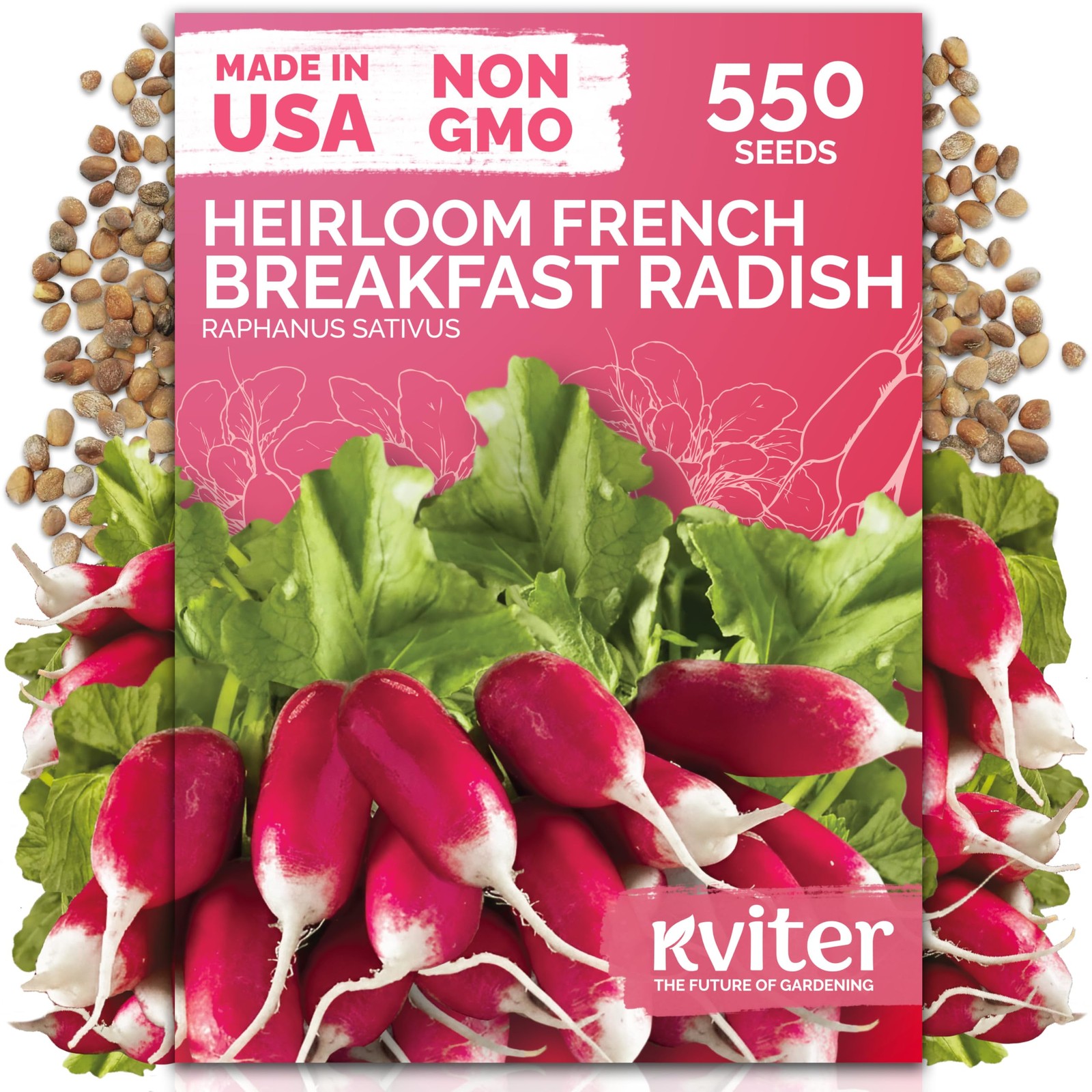 KVITER 550 French Breakfast Radish Seeds (Raphanus Sativus)