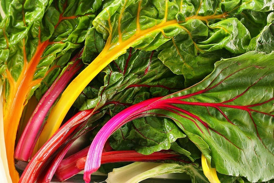 100+ RAINBOW SWISS CHARD SEEDS, HEIRLOOM/, Always Fresh For Your Garden