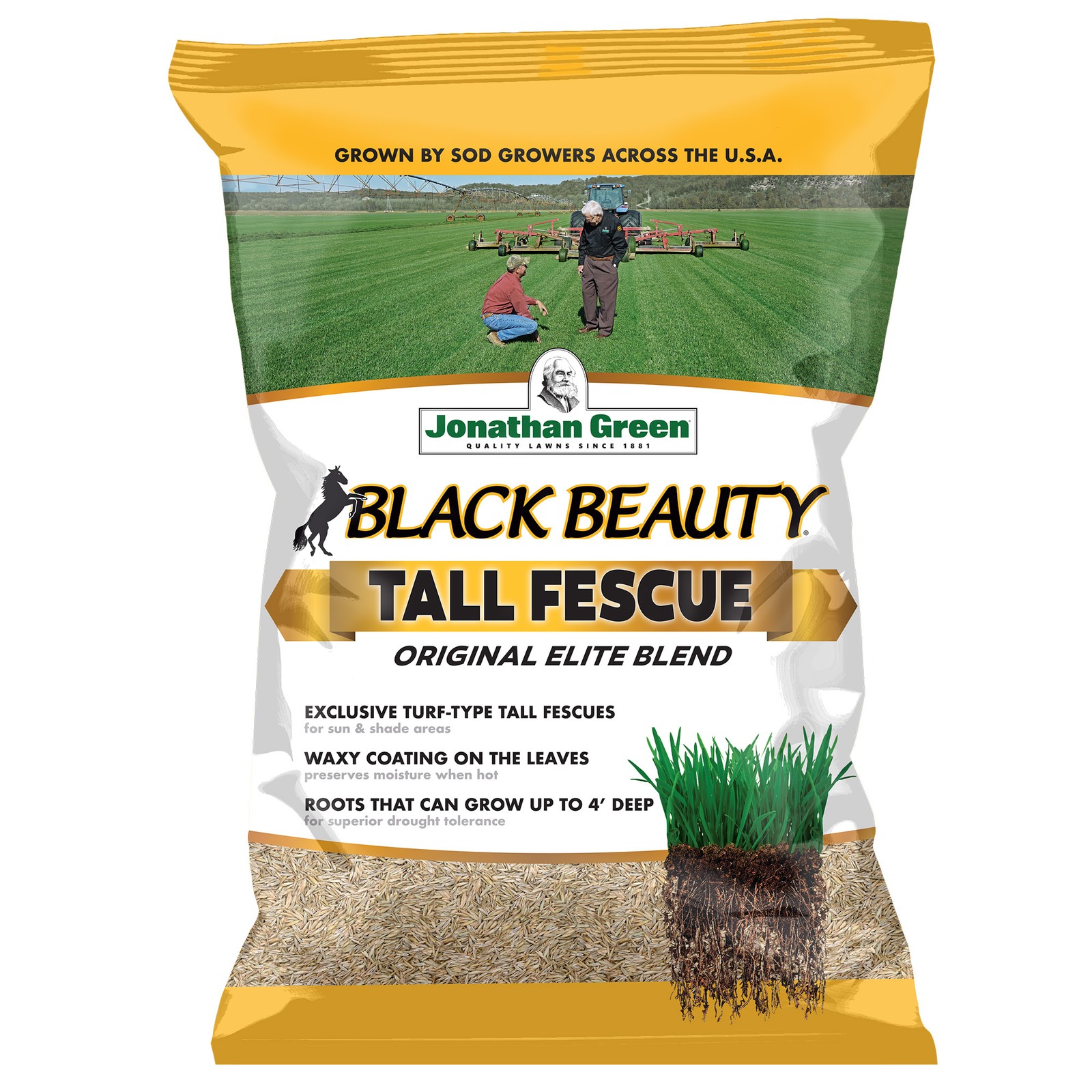 Jonathan Green Black Beauty Tall Fescue Grass Seed Blend, 3lbs