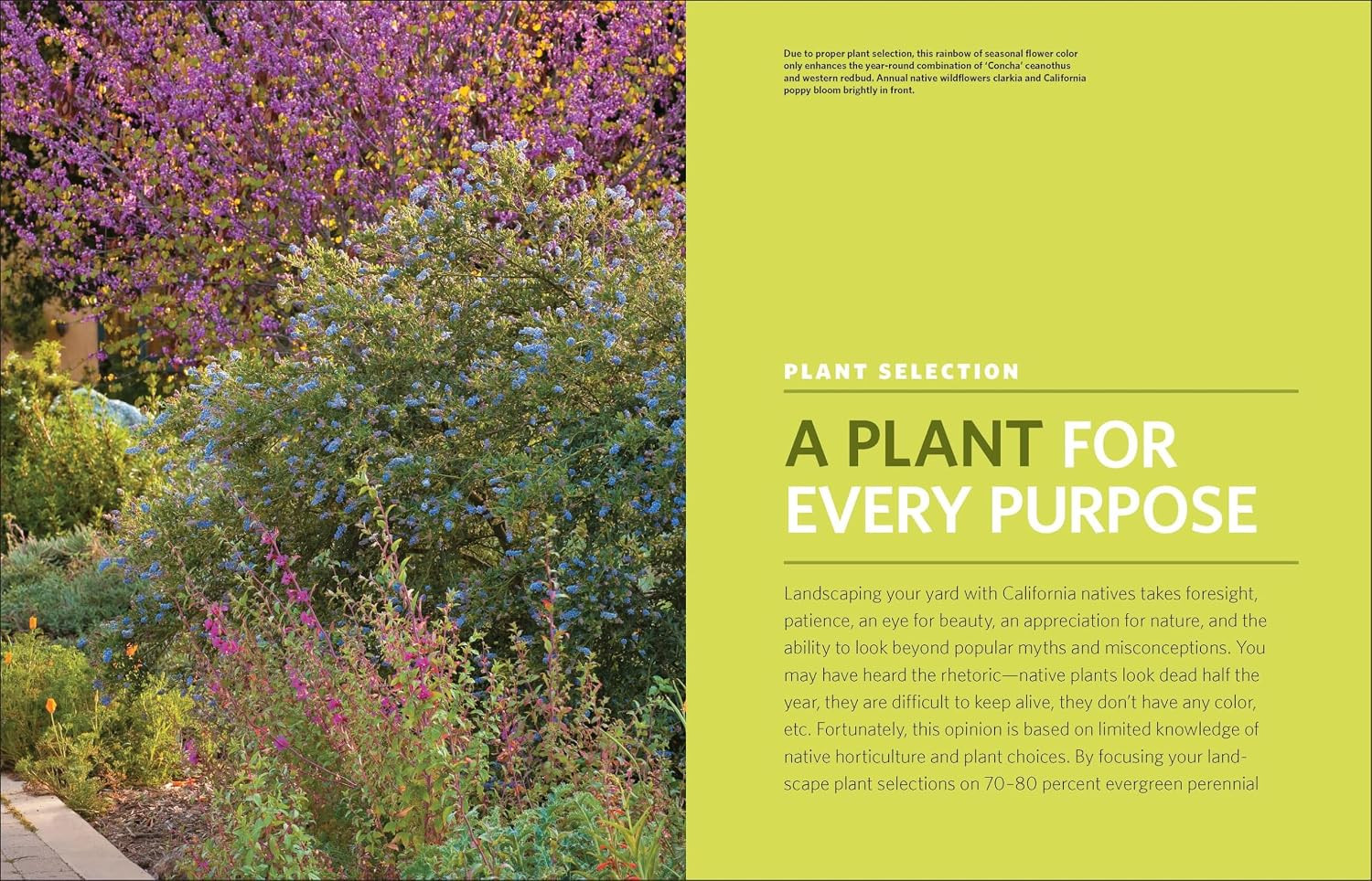 The Drought-Defying California Garden: 230 Native Plants for a Lush, Low-Water L
