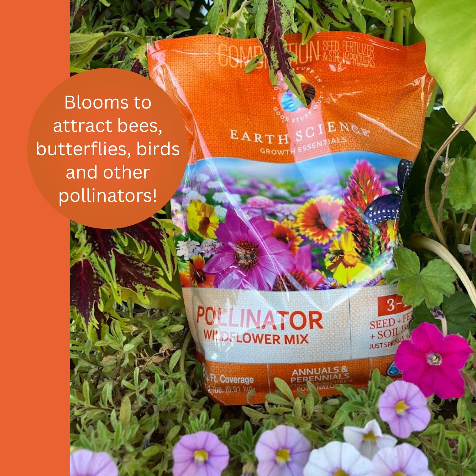 Wildflower Pollinator Mix— 6 lb—3-in-1 Mix with Premium Wildflower Seed, Plan…