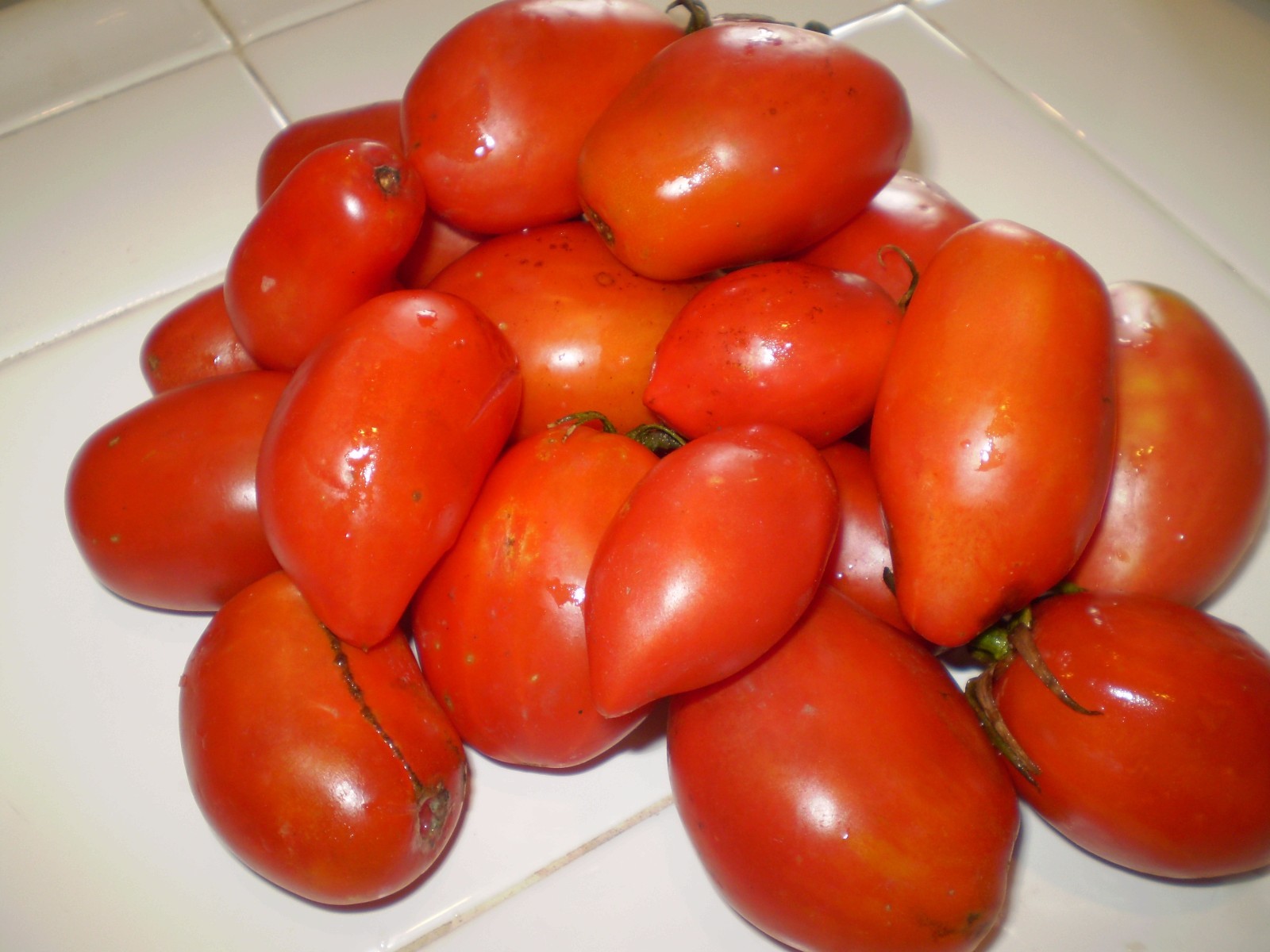 Schelske Family Heirloom RARE tomato seeds non-gmo heirloom open pollinated