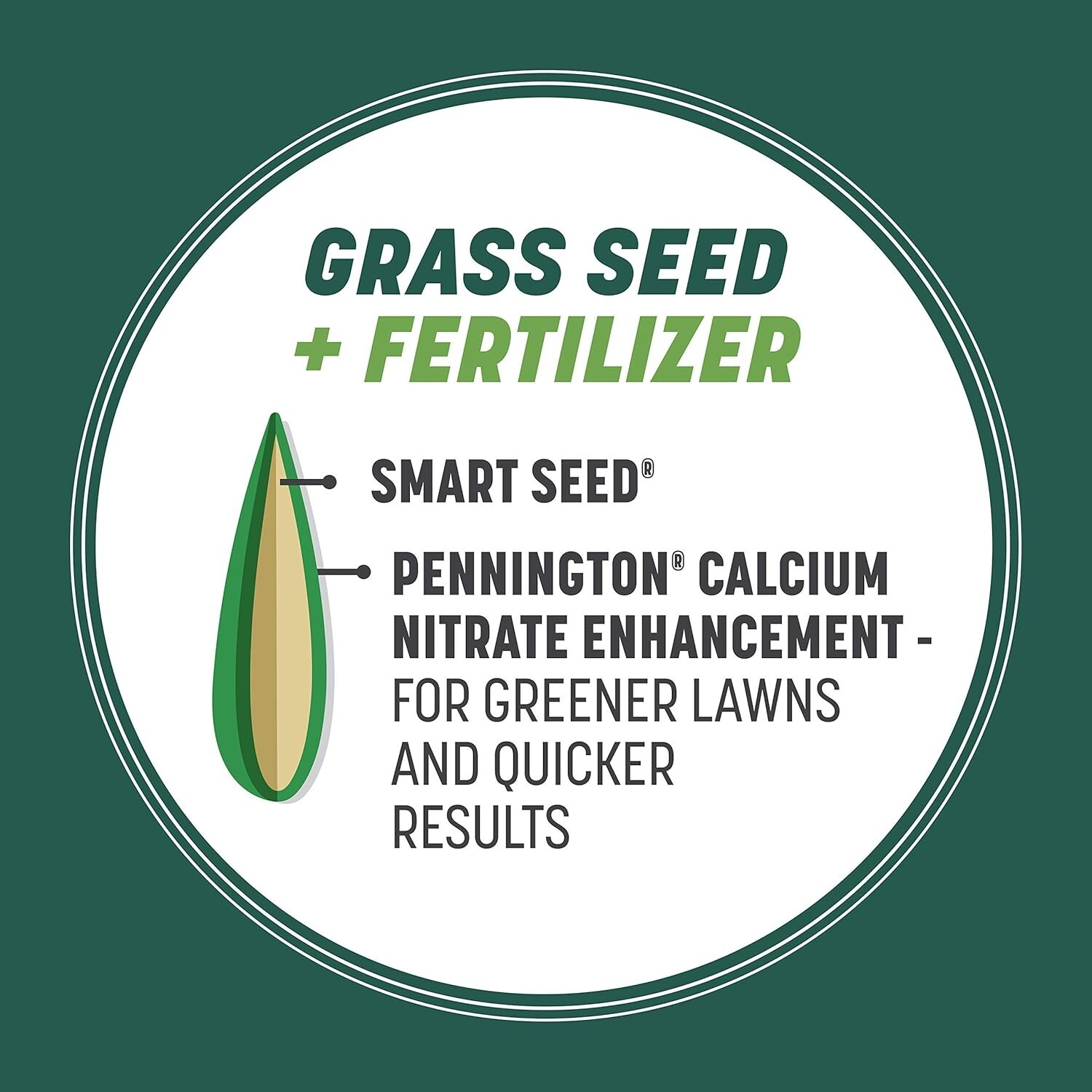 Grass Seed Mix 3 lb Tall Fescue Ryegrass Shade Sun Hybrid Lawn Fertilizer