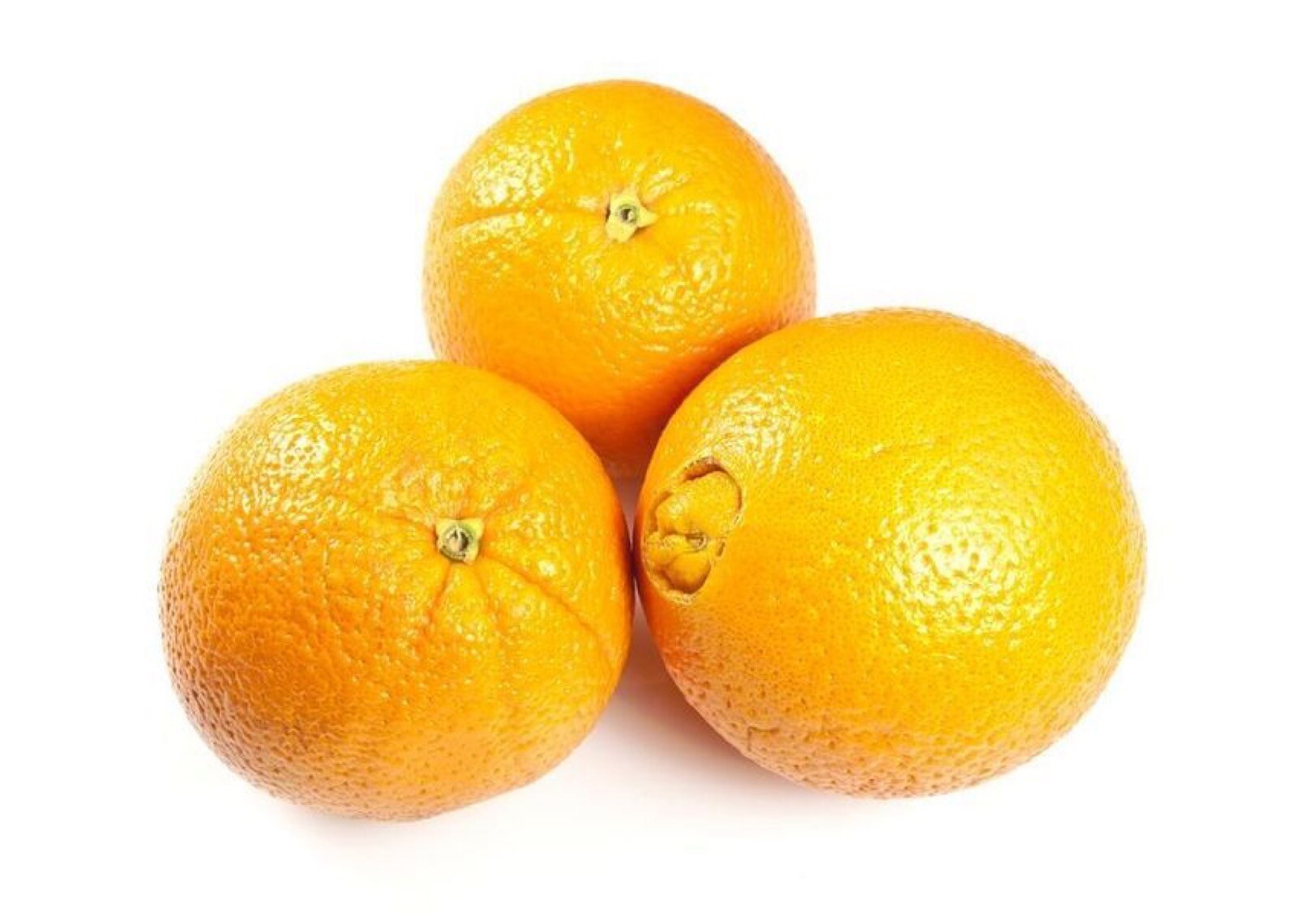 For Florida only!! Washington Navel Orange Tree, 26-30” tall, grafted