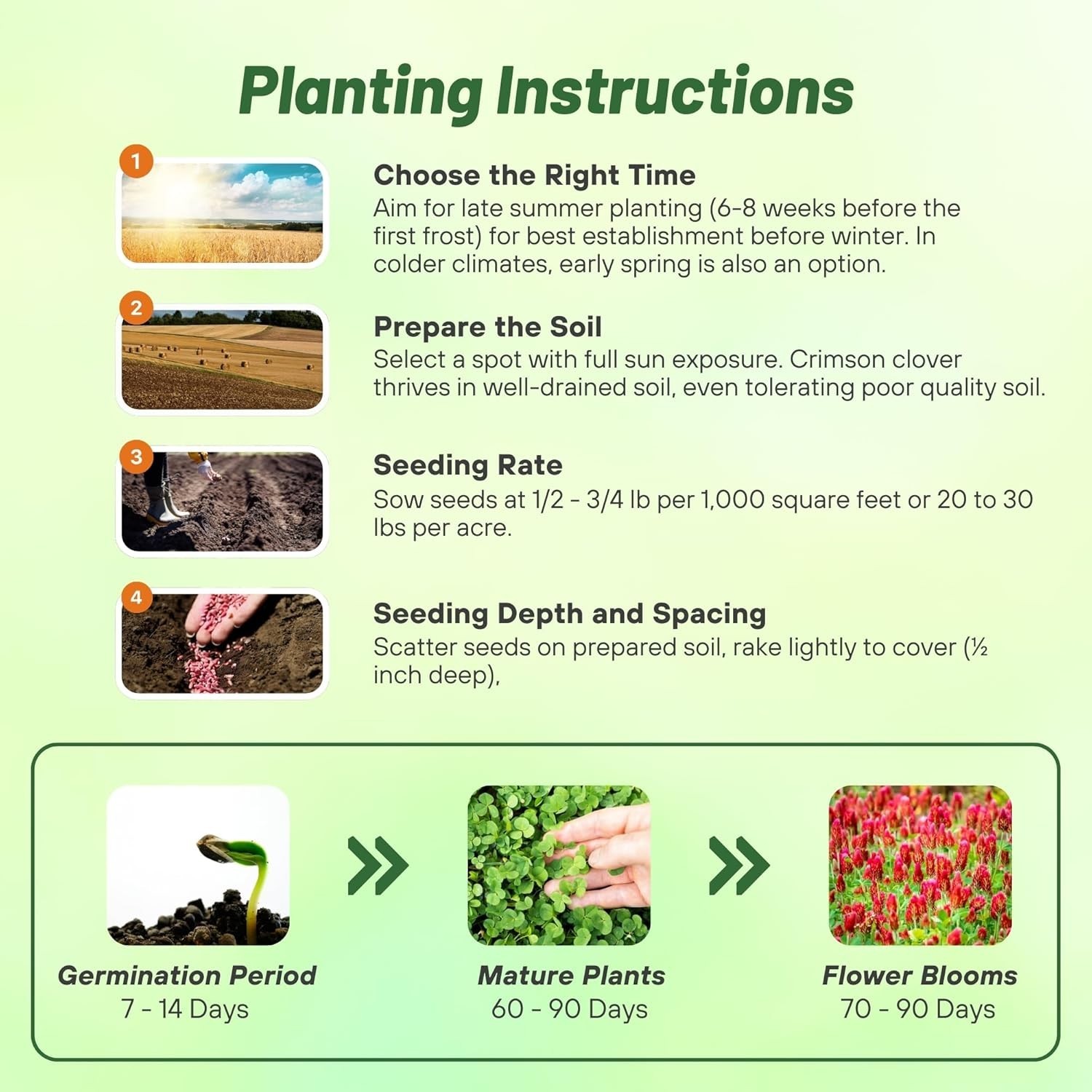 10 lbs. Crimson Clover Seeds – Ideal for Lawns, Cover Crops & Wildlife Forage