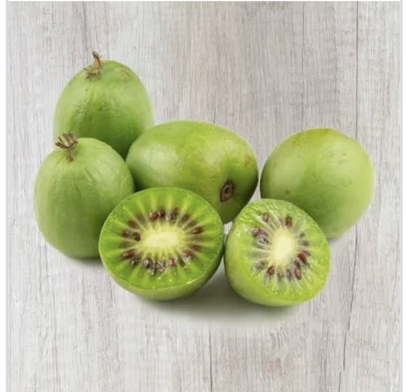 Issai Self Fertile Kiwi Vine Live Starter Plant – Actinidia chinensis
