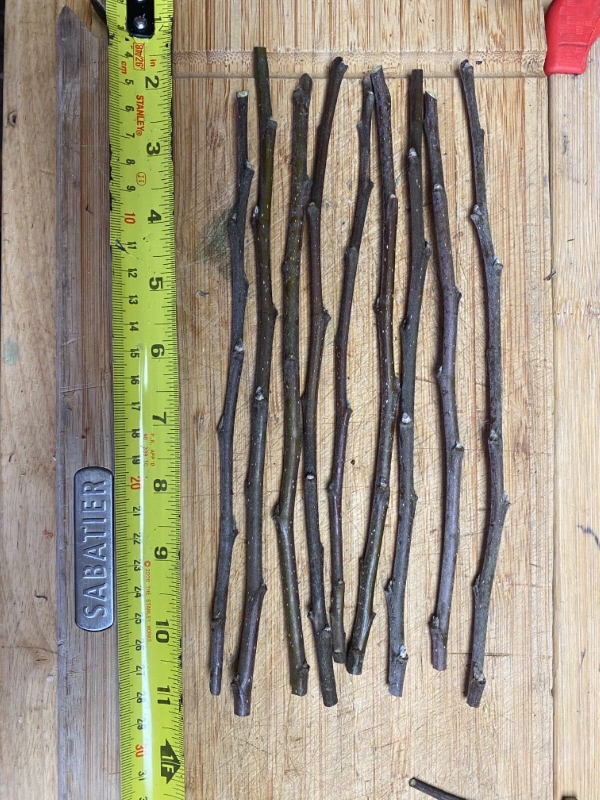 Fruit Tree Cuttings/scion Wood Dormant Apple/pear/plum/peach/fig/grape/persimmon