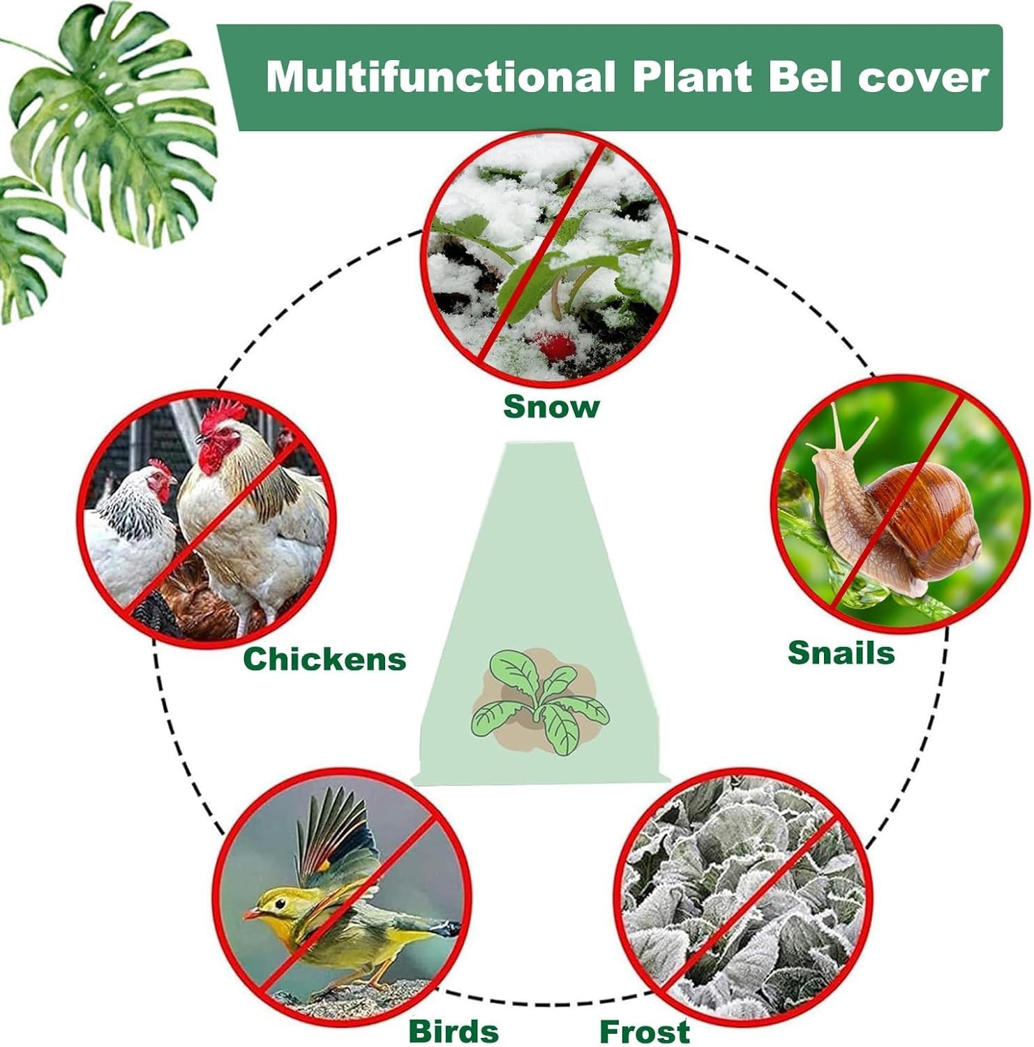 Durable 20-Pack Garden Cloches – Chemical-Free Protection for Healthy Growth