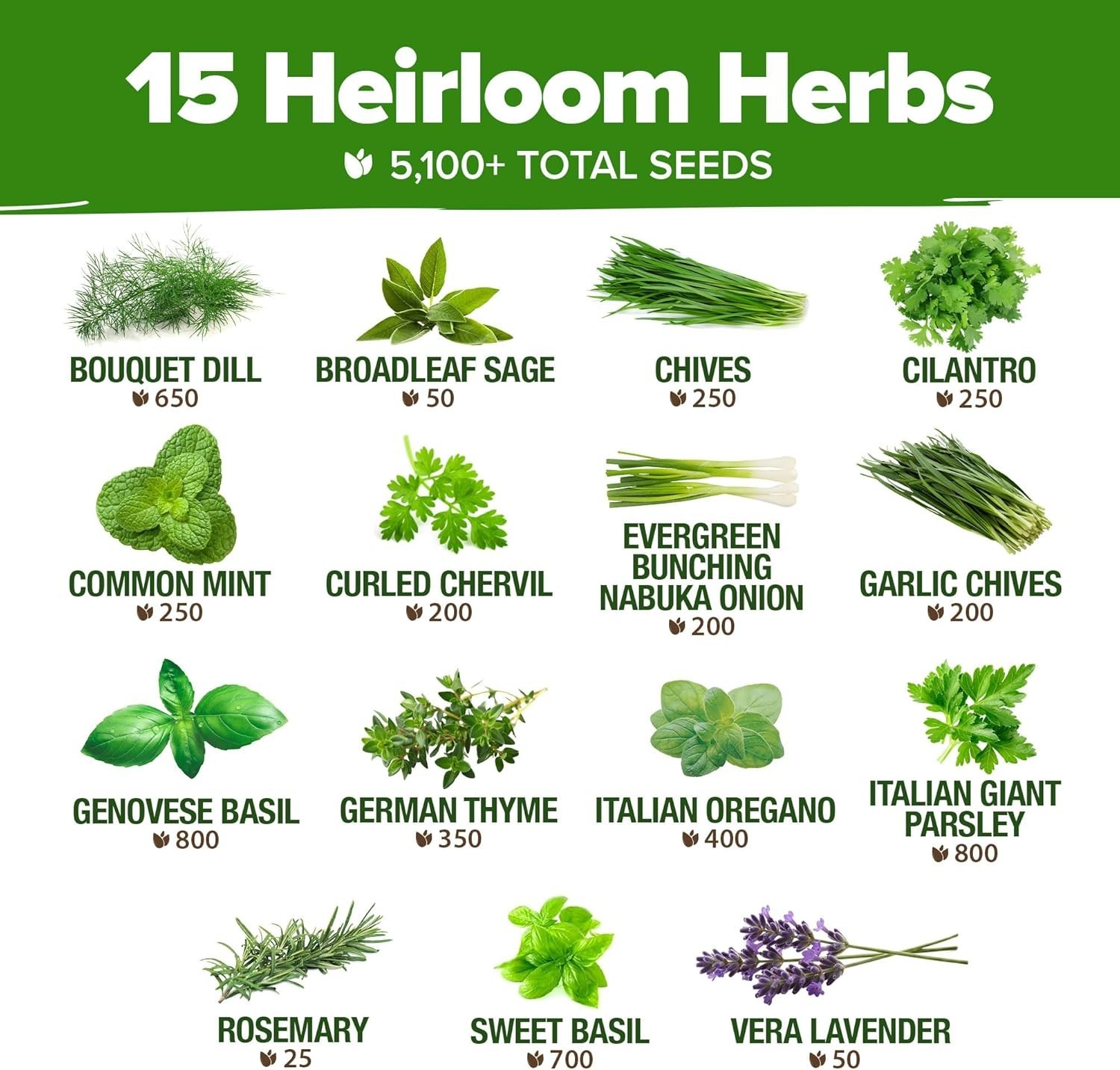 Heirloom Herb Seeds Variety Pack: 5,100+ Seeds for Indoor & Outdoor Gardening