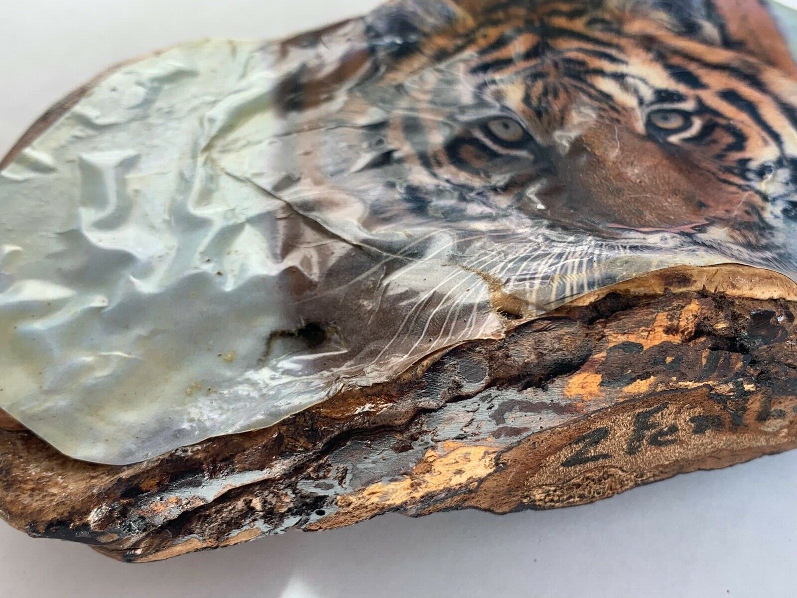 vtg bengal tiger Conk Shelf MUSHROOM Folk Art retro cat tree fungus decoupage
