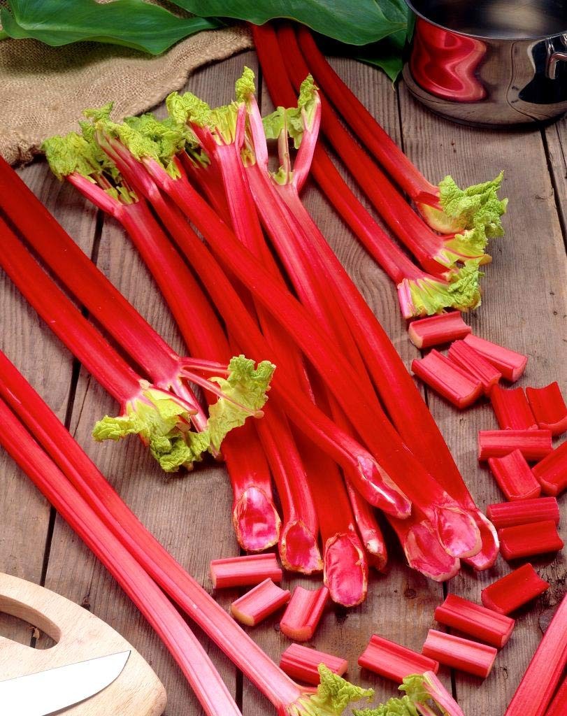 Rhubarb Seeds for Planting – 50 High-Quality Rheum Australe Seeds