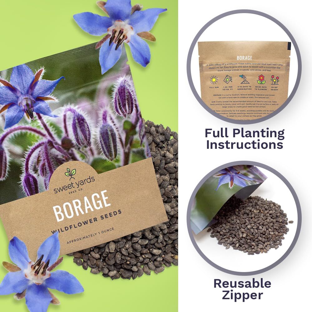 Borage Seeds – Extra Large Packet – Over 1200 Open Pollinated Non-GMO Wildflo…