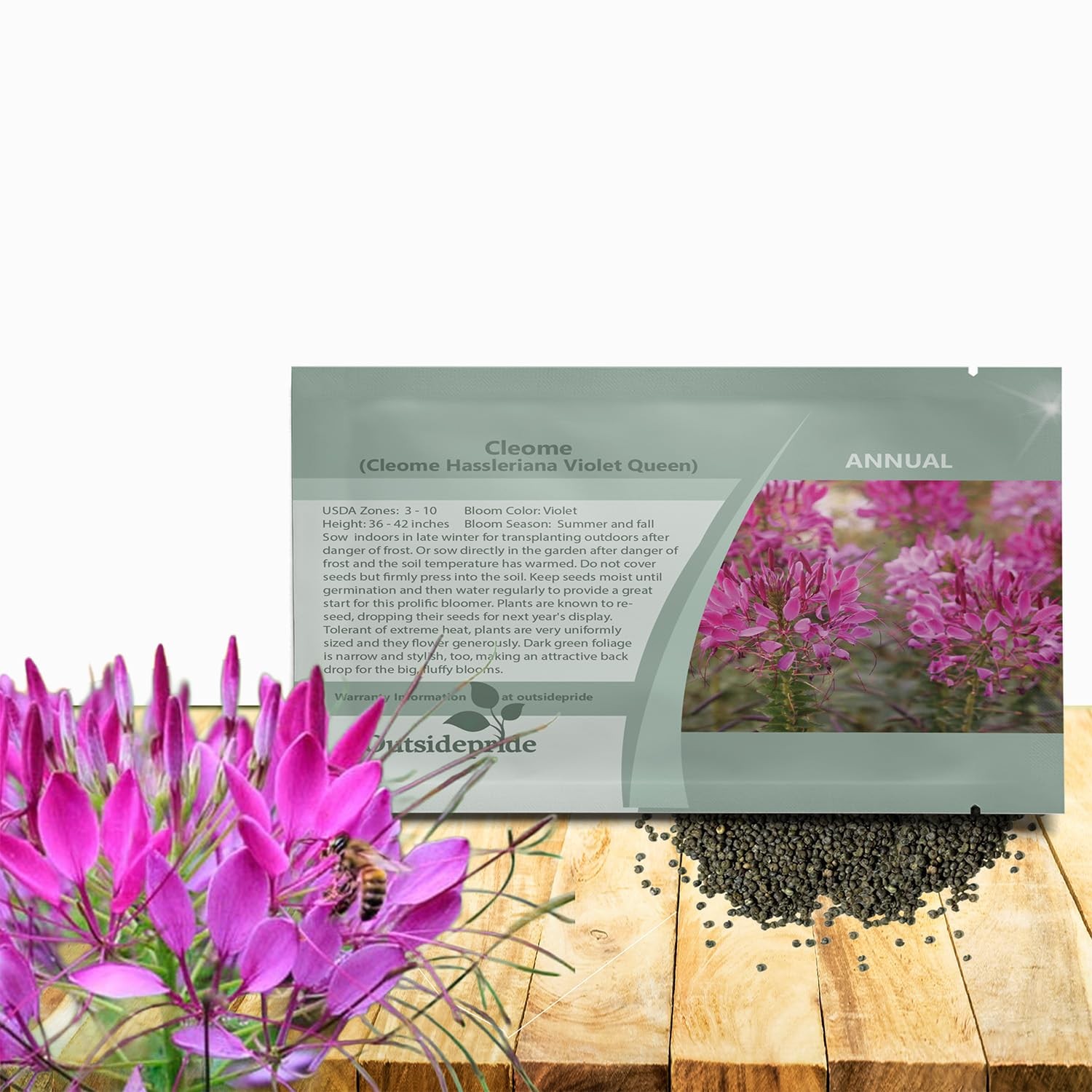 Violet Cleome Seeds – 1000 Pcs Annual Flower Seeds for Xeriscaping & Pollinators