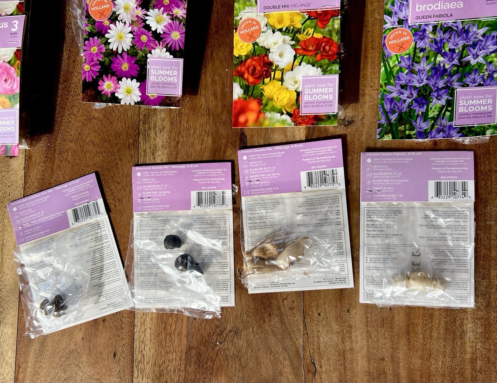 FLOWER SEED PACKS Mixed Lot HOLLAND Vibrant COLOR Varieties 24 Packages BULBS