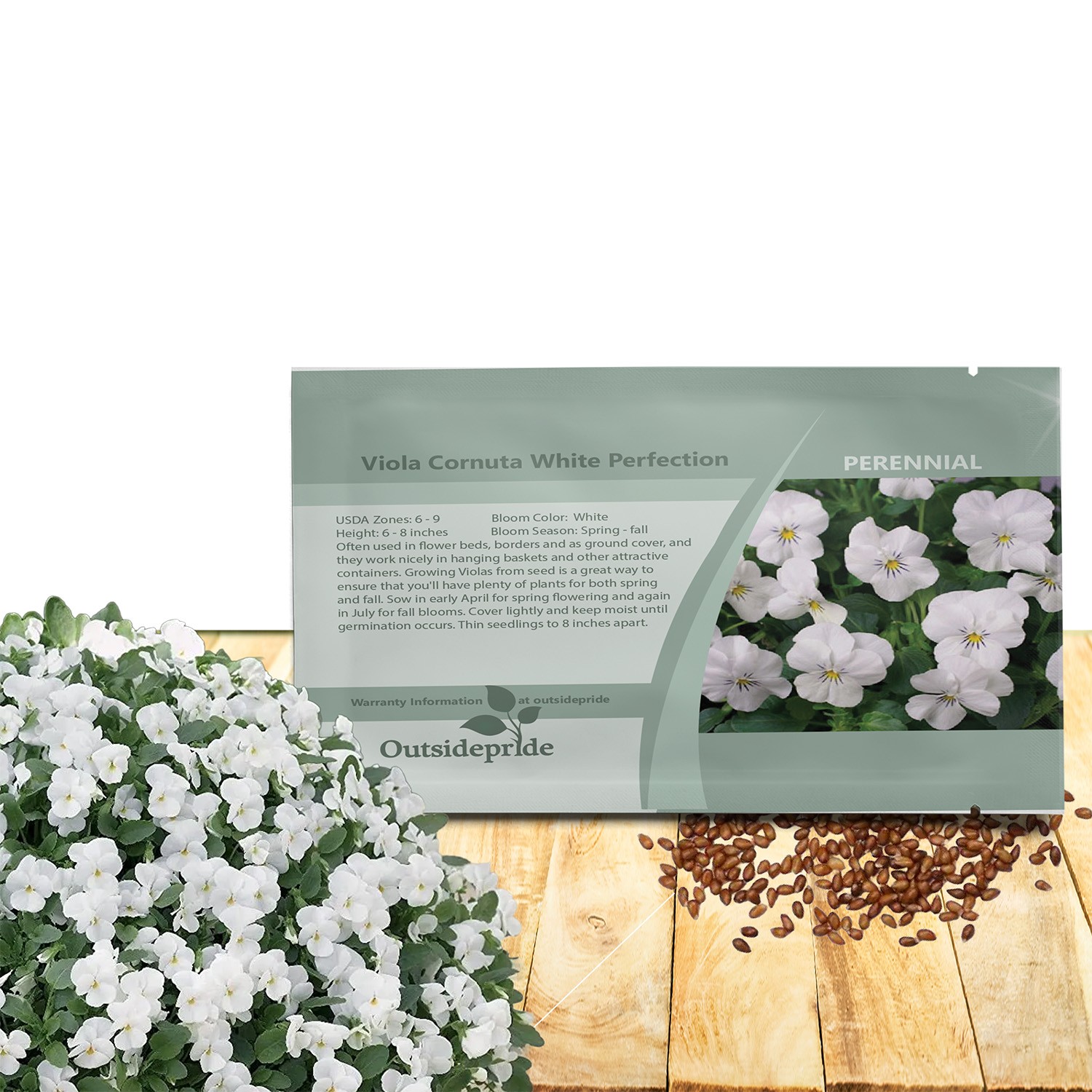 1000 Seeds Viola Seed – Viola White Perfection Flower Seeds