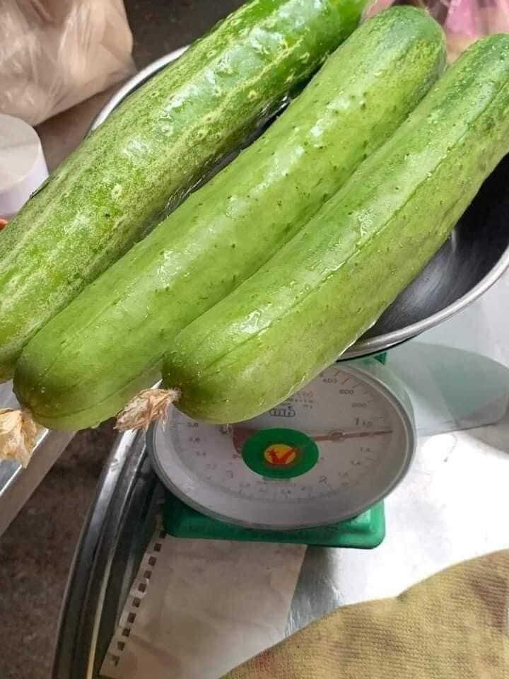 10+ seeds Korean Asian White /Green Sweet Crispy Cucumber Dua Leo Nep Han Quoc