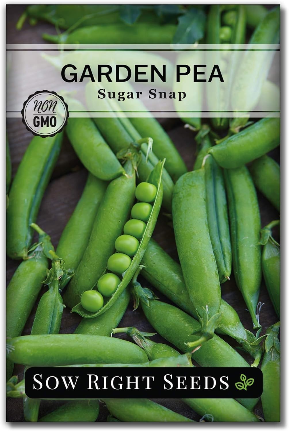 Heirloom Sugar Snap Peas – Vines Grow 5-6 Feet Tall, Space 3-6 Inches Apart
