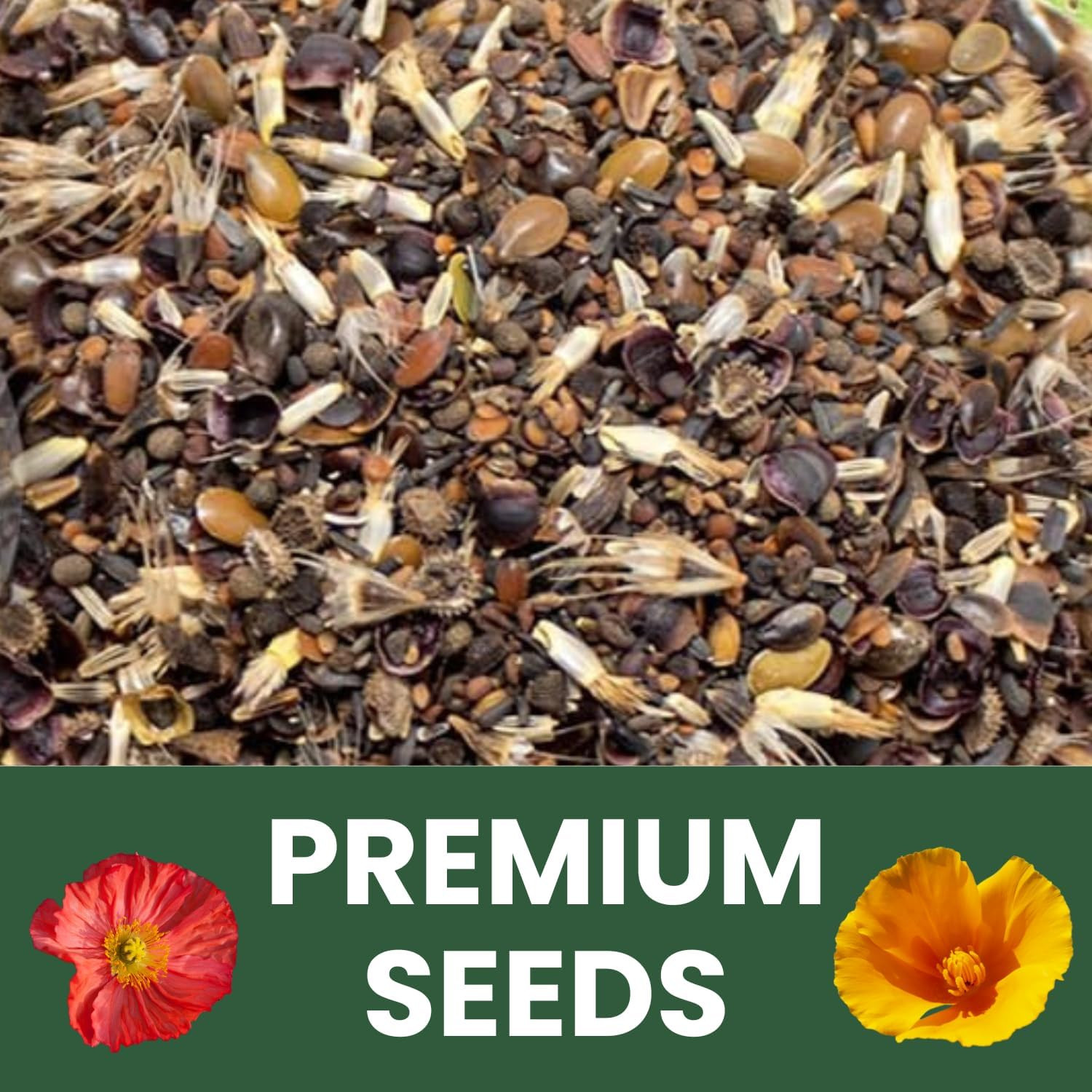California Regional Mix – 79,000 Seeds for Planting – 2026 Season – 4 Ounce Pouc