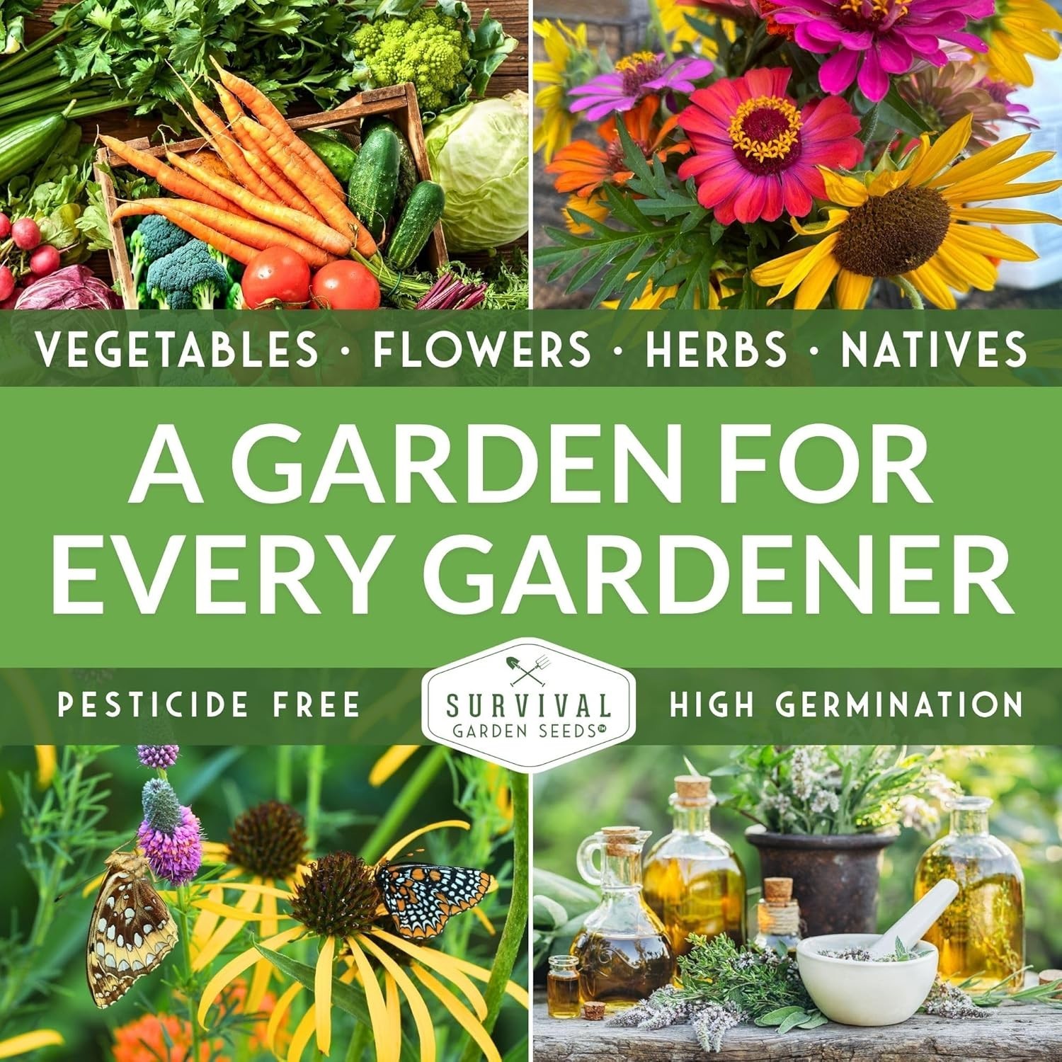 Southern Giant Mustard Green Seeds – Heirloom Non-GMO, Heat Tolerant & Abundant