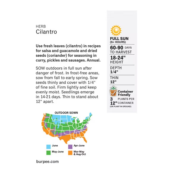 Burpee Common Cilantro Herb Seed Annual Container Friendly Full Sun Seeds Packet