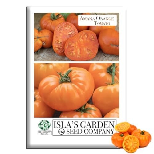 Amana Orange Beefsteak Tomato Seeds (Solanum lycopersicum) – 50+ Heirloom Non