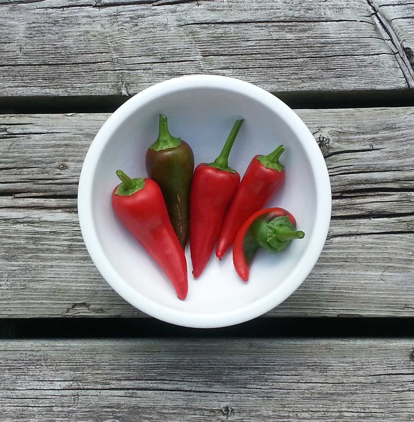 RARE✿ Polish Heirloom Ostra Cyklon Hot Pepper 15 Seeds ●Rich Flavor