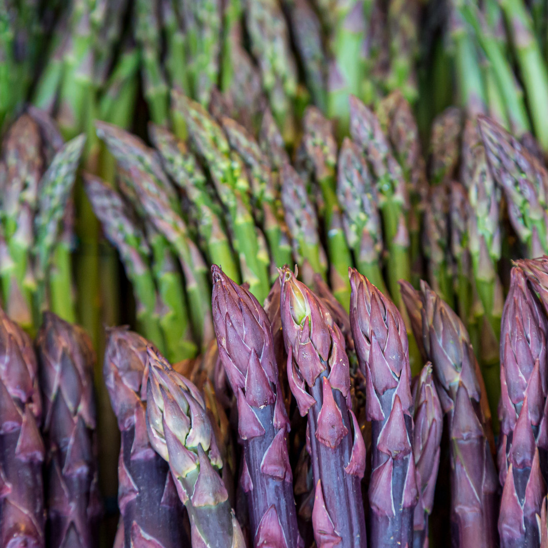 Asparagus Garden pack: Jersey Knight, Mary Washington, Purple Passion – 10 each