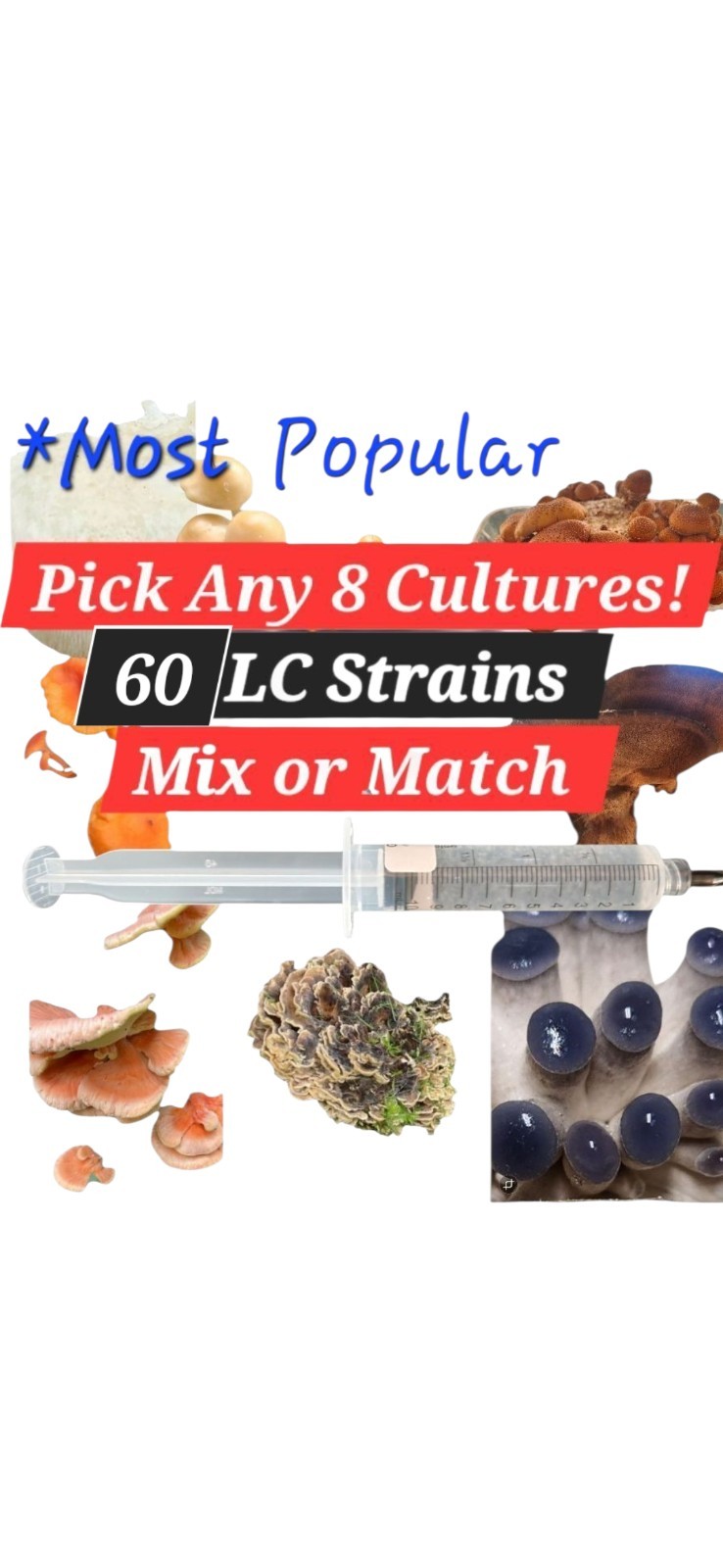 Mushroom Liquid Culture Syringes (10ml), Pick Any 8, Mix or Match