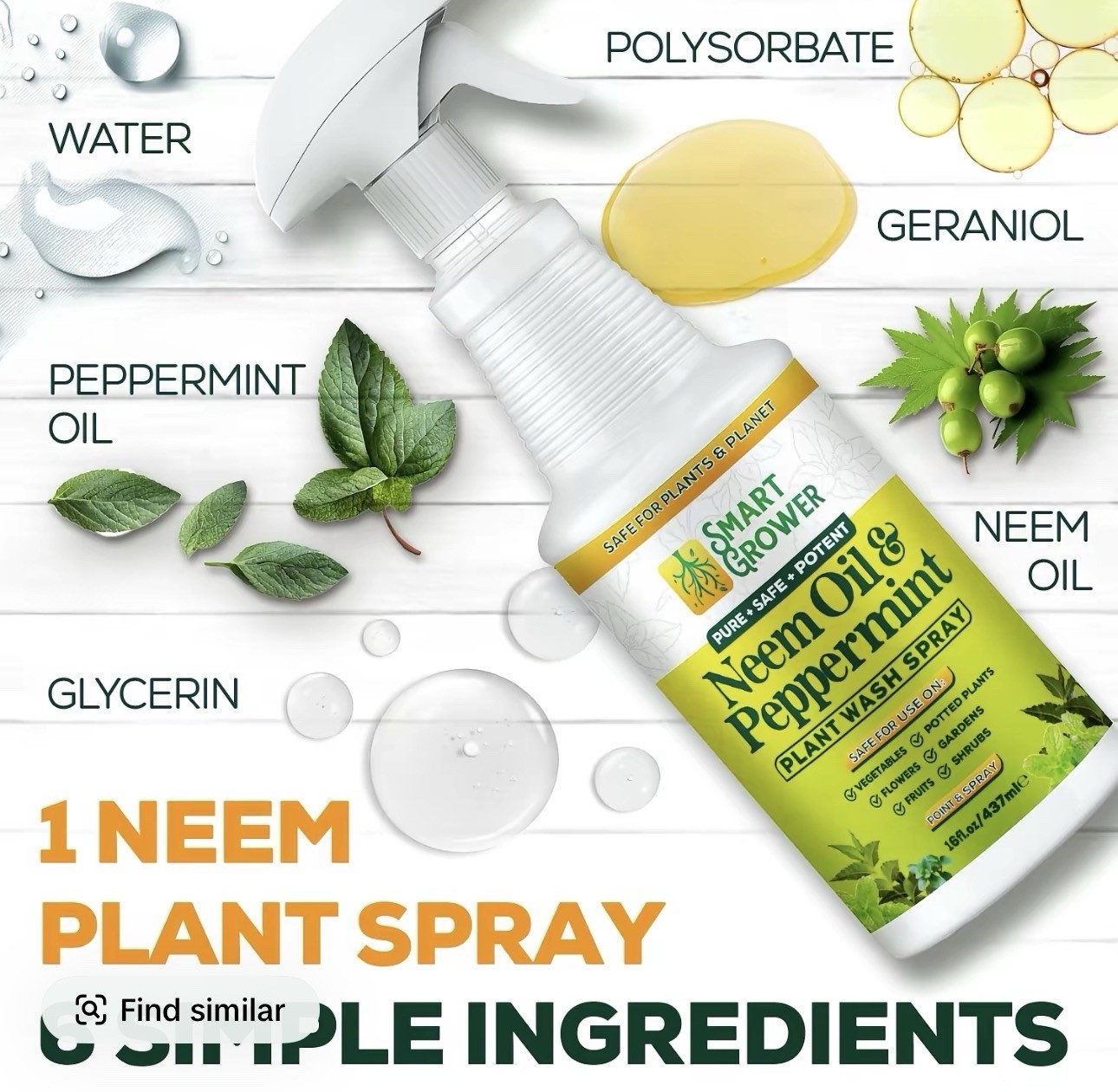 Neem Oil Spray for Plants with Peppermint Oil, Natural Plant Wash Made for In…