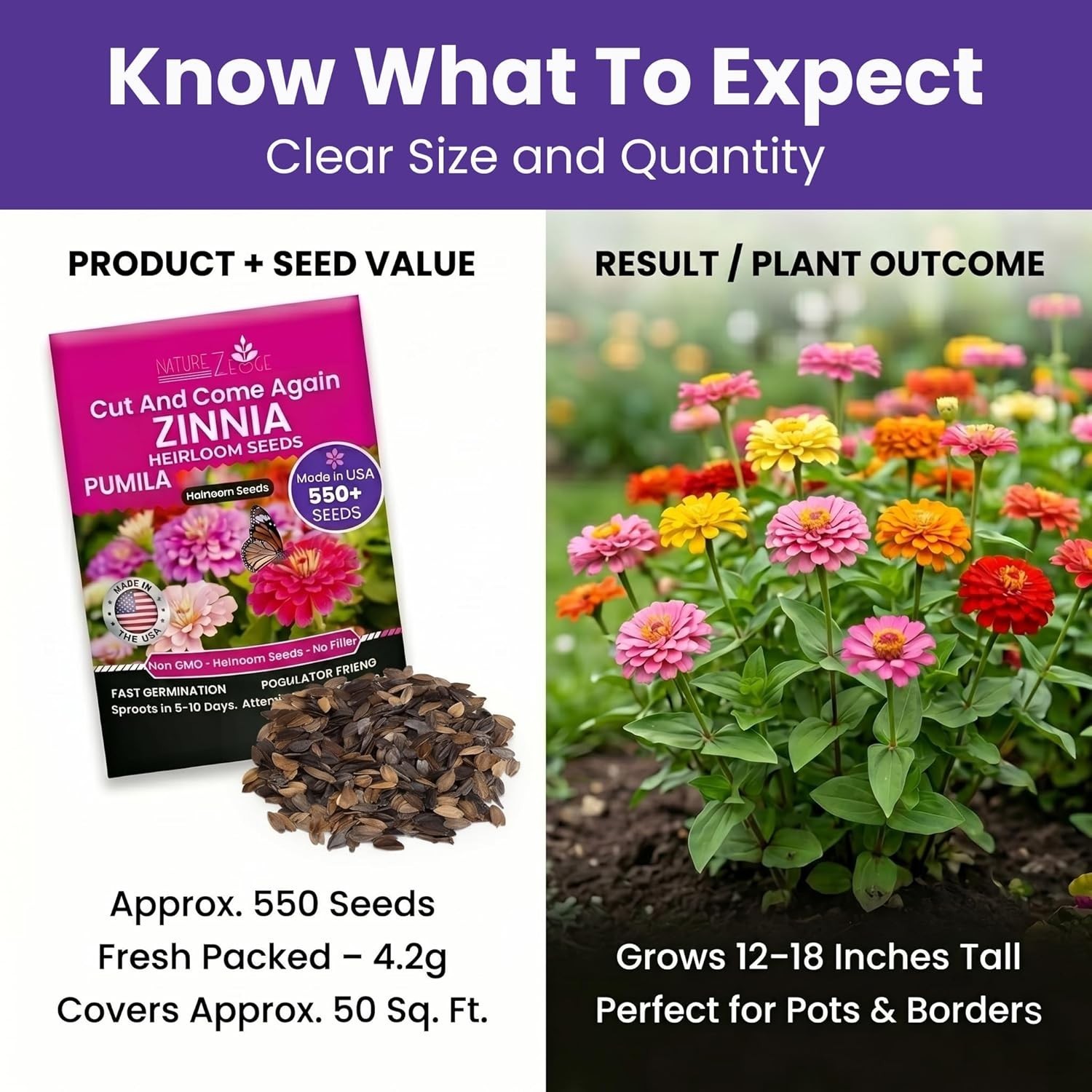 Colorful Zinnia Seeds – GMO-Free, High Germination Rate, Easy Planting Mix