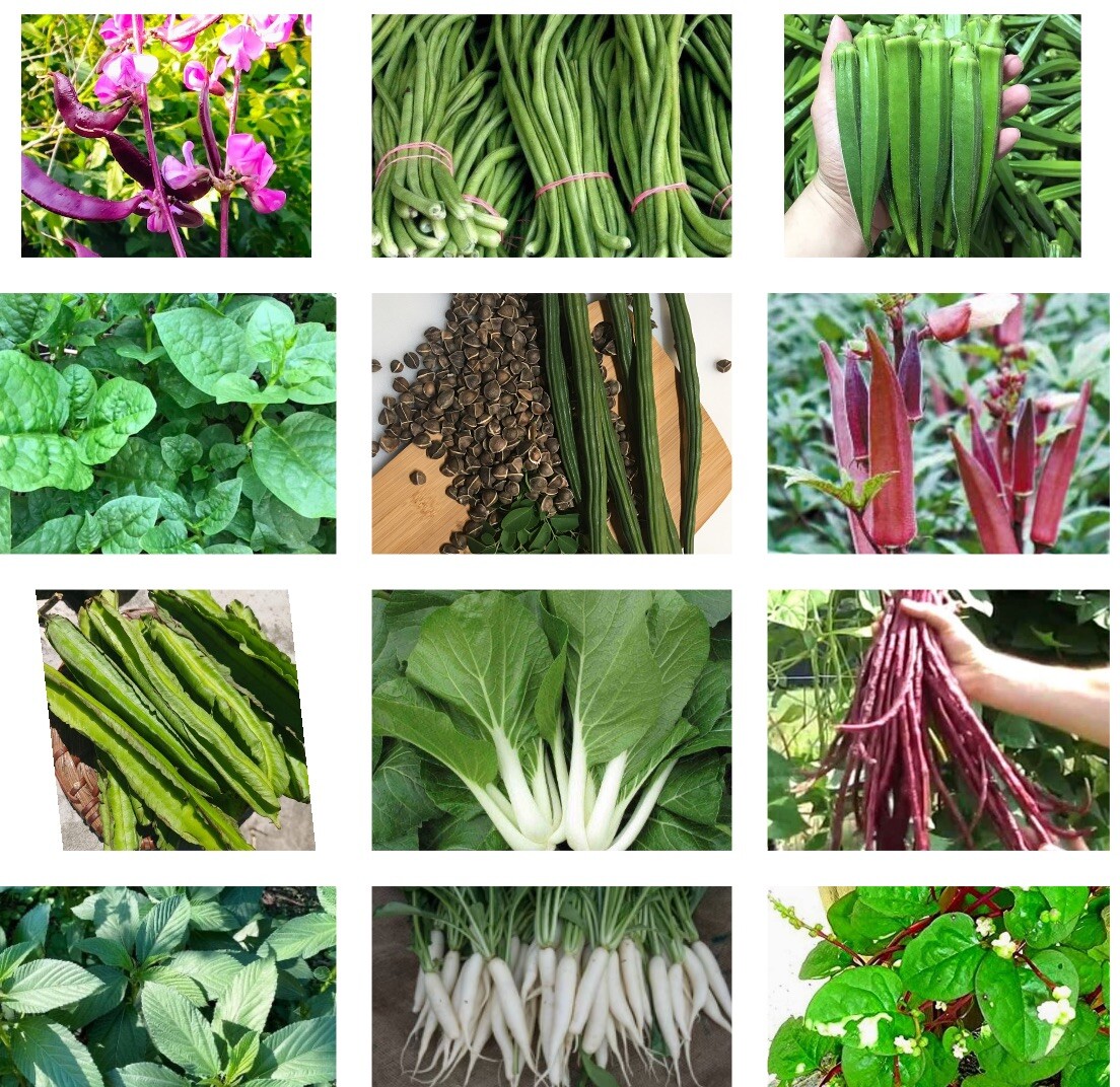 15 Packets Asian Vegetable seeds. Bittemelon, Hyacinth Bean, Winged Bean & More