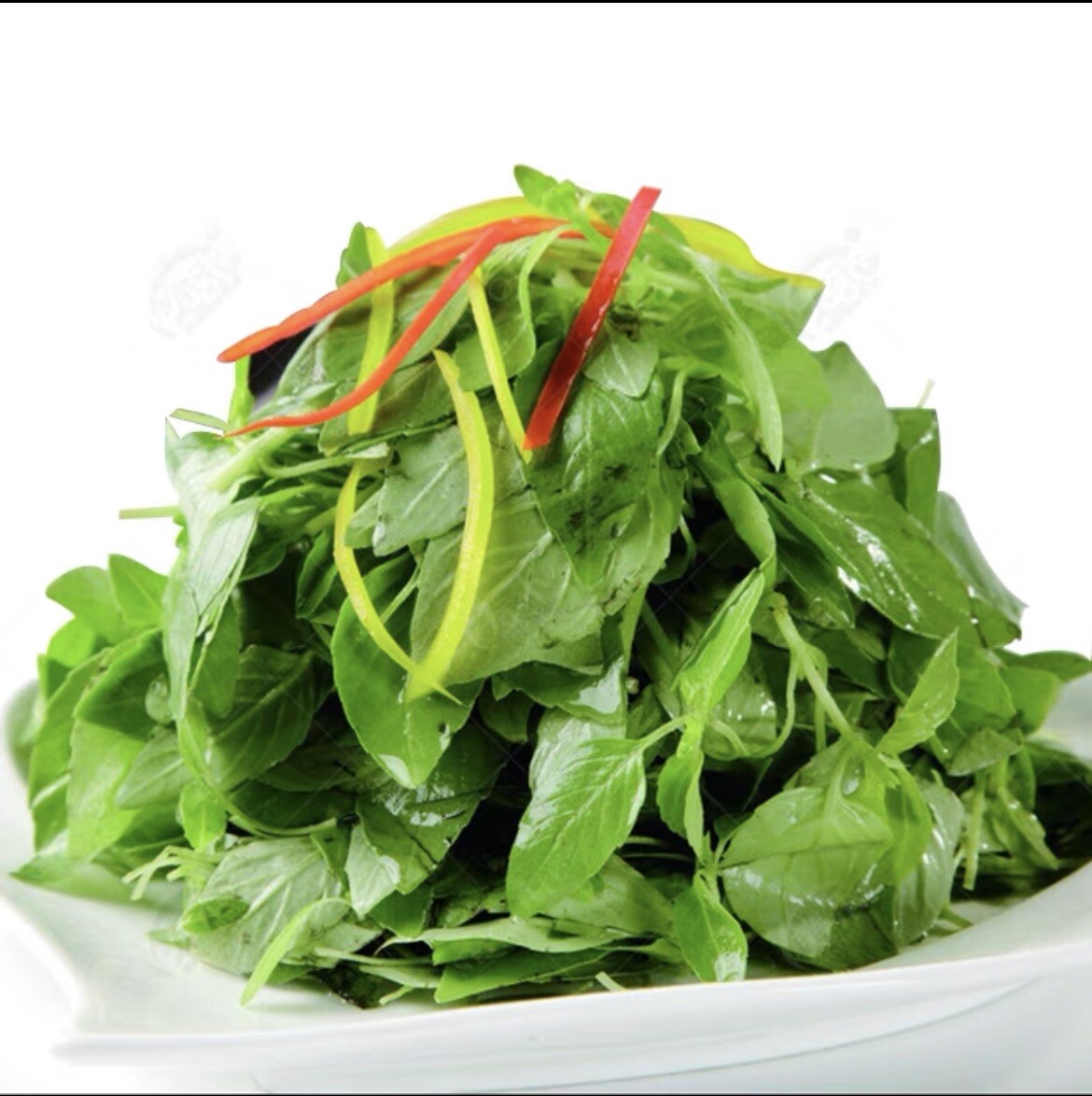 260+ Large Leaf Asian Basil Seeds NON-GMO SEEDS. 260多粒大叶荆芥种子. 2023年新产种子
