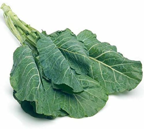 50+ Southern Georgia Collard Seeds Heirloom NON-GMO Fresh Seeds for Your Garden